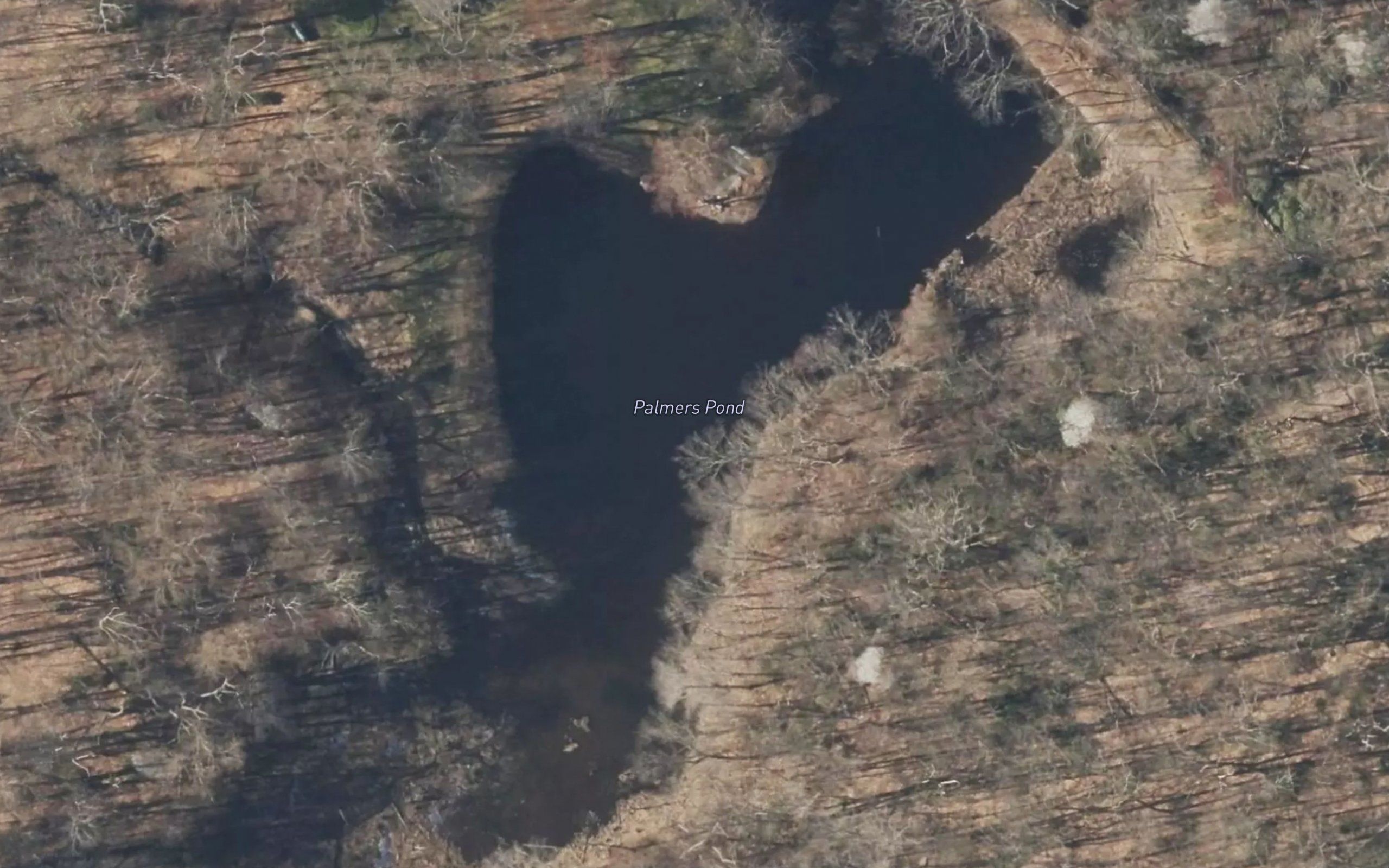 Palmers Pond