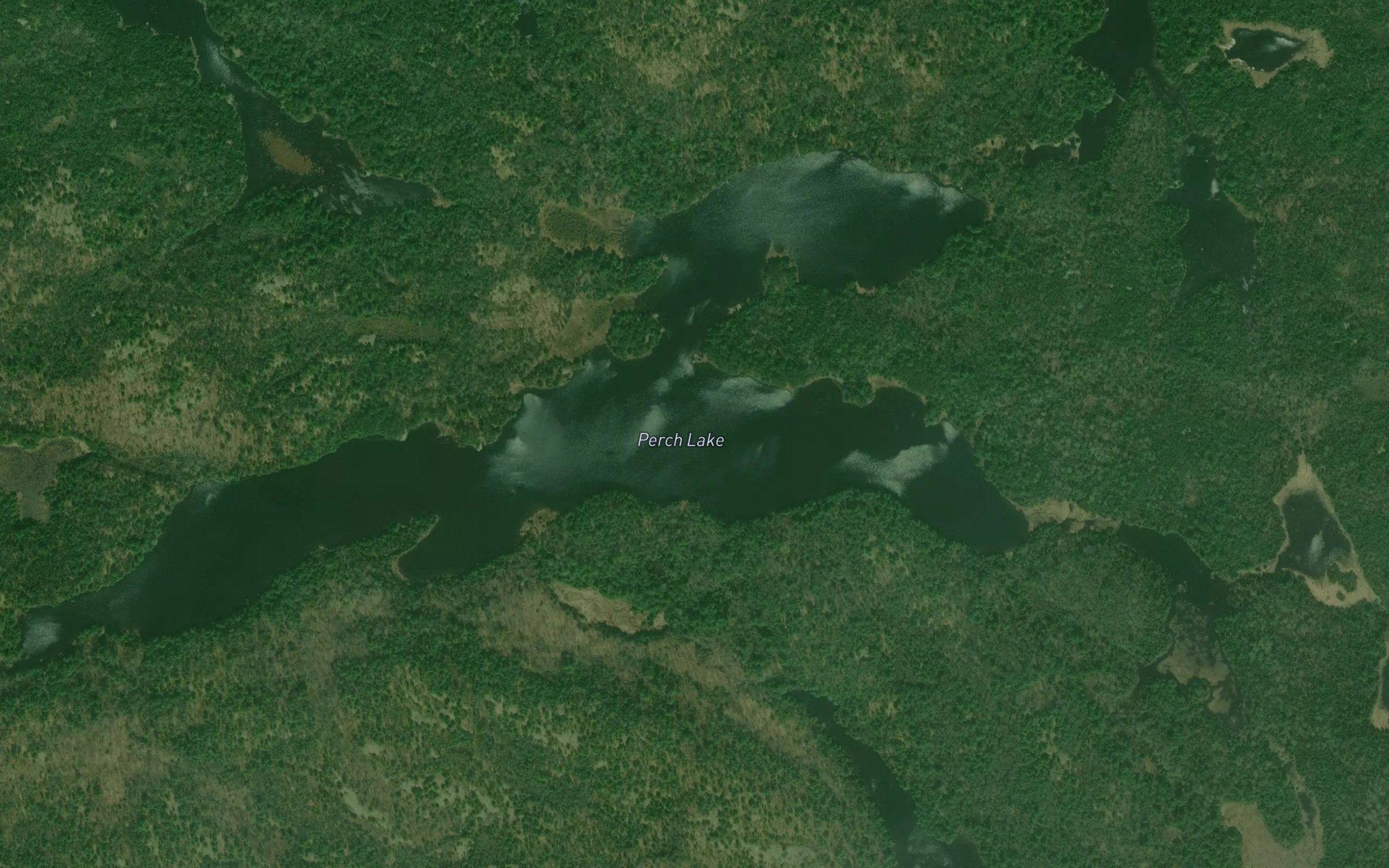 Perch Lake