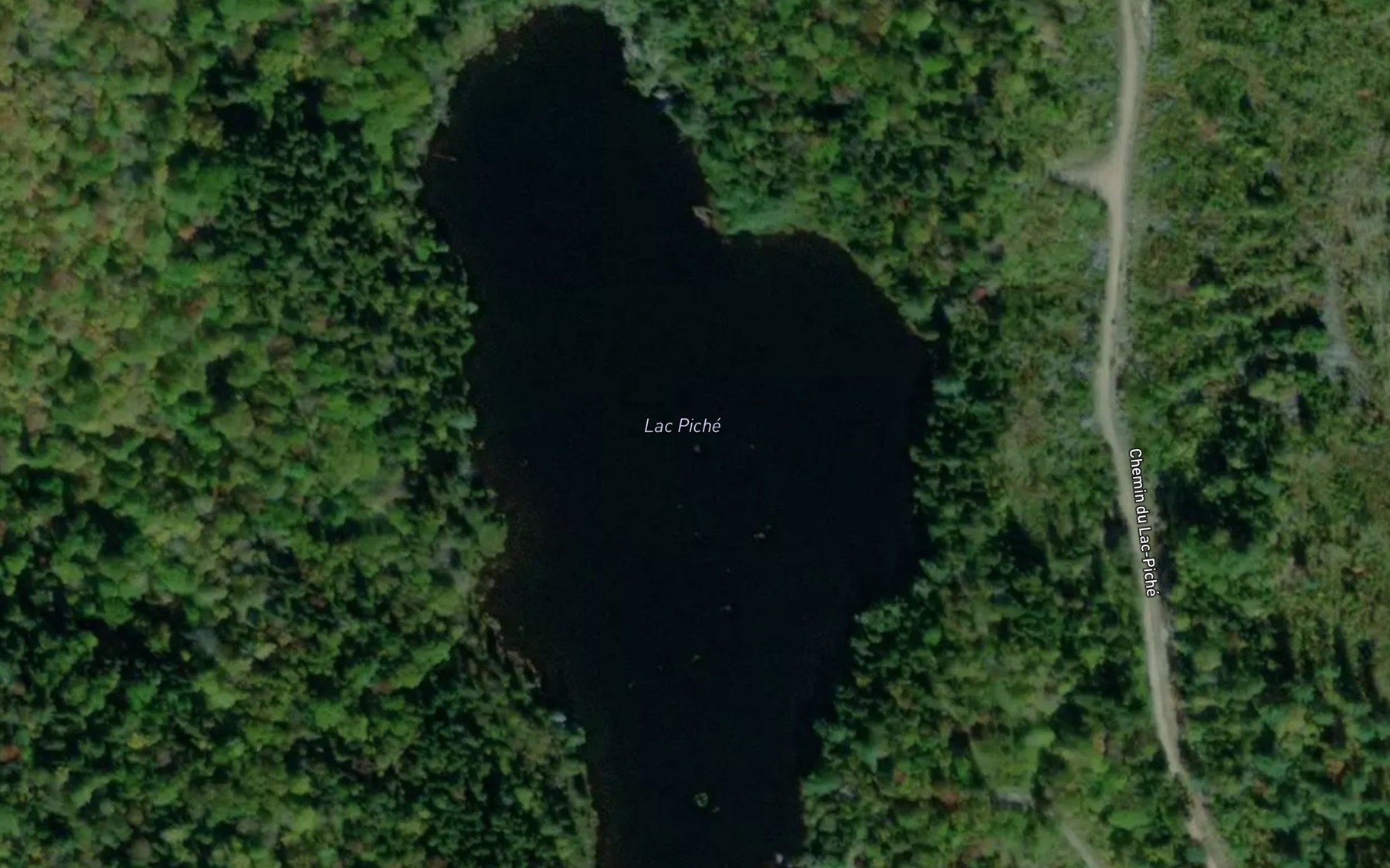 Satellite map of the Lac Piche