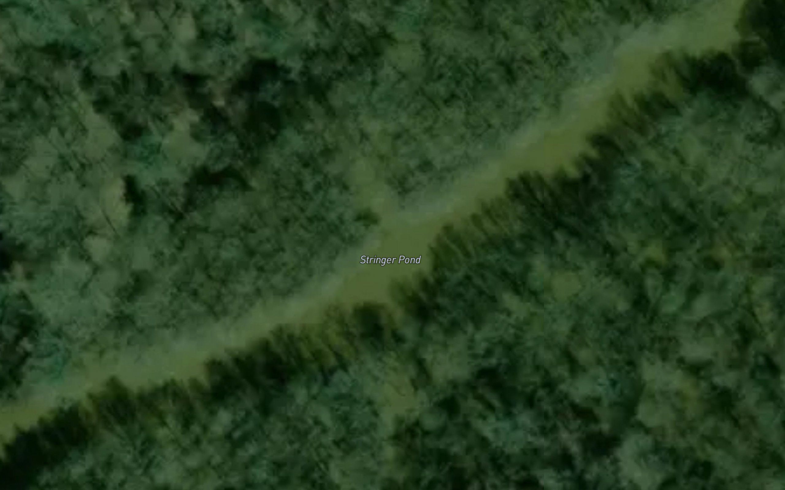 Stringer Pond