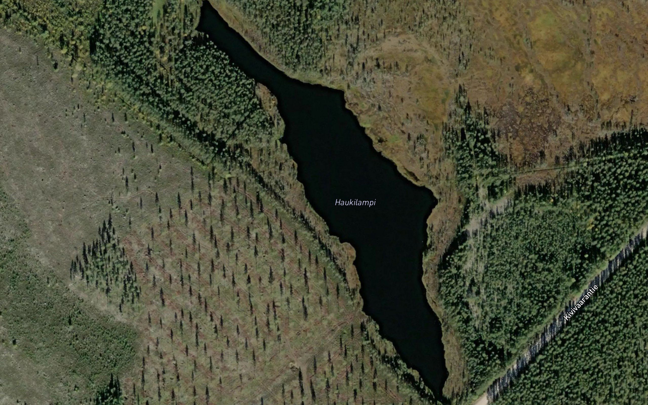 Haukilampi