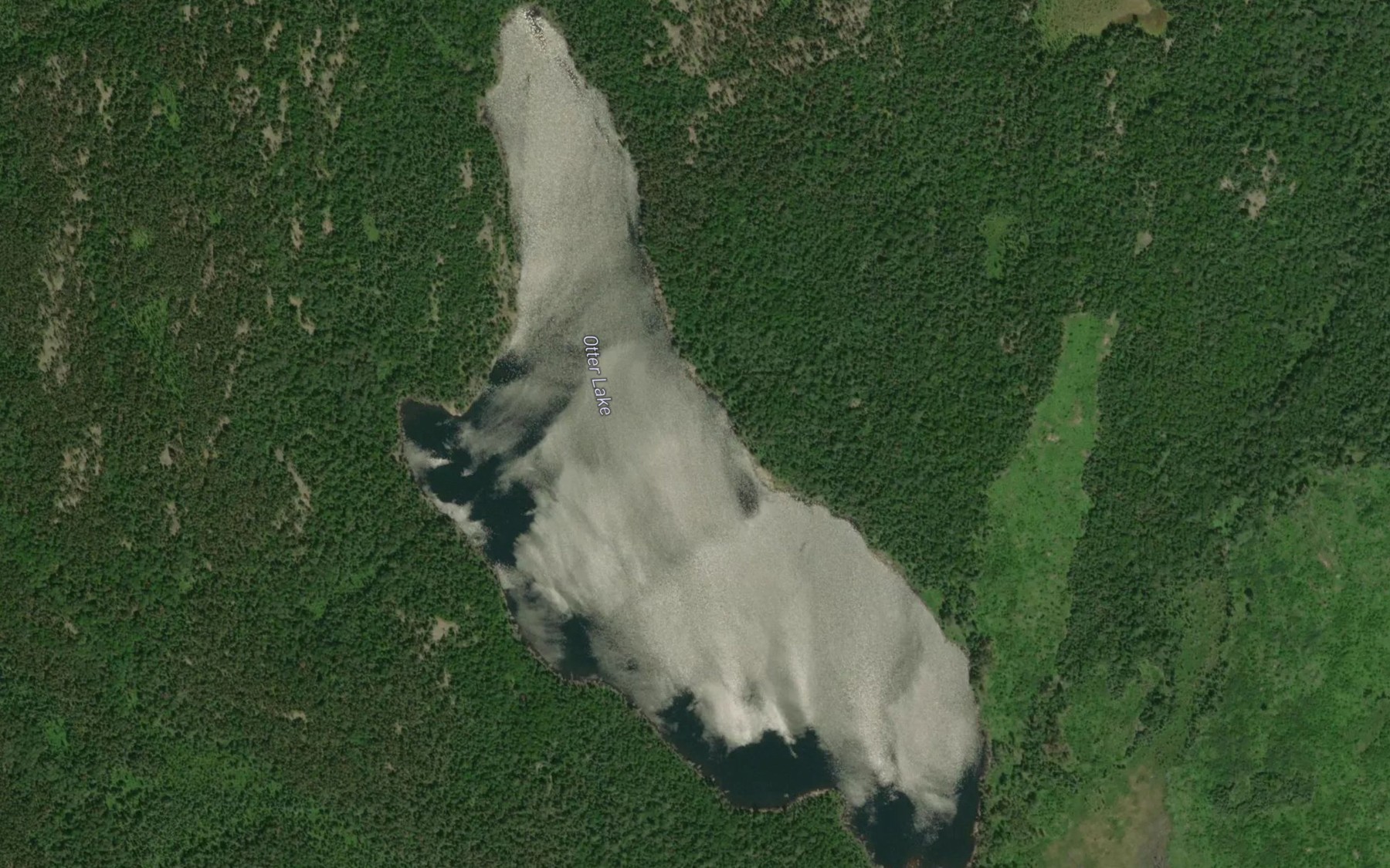 Satellite map of the Otter Lake