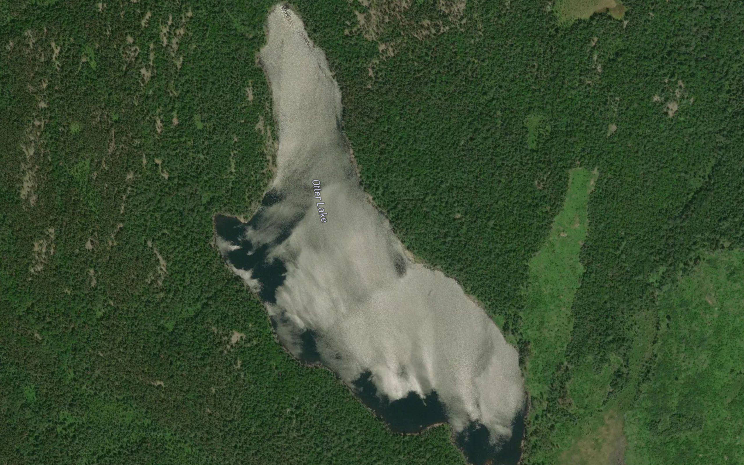 Otter Lake