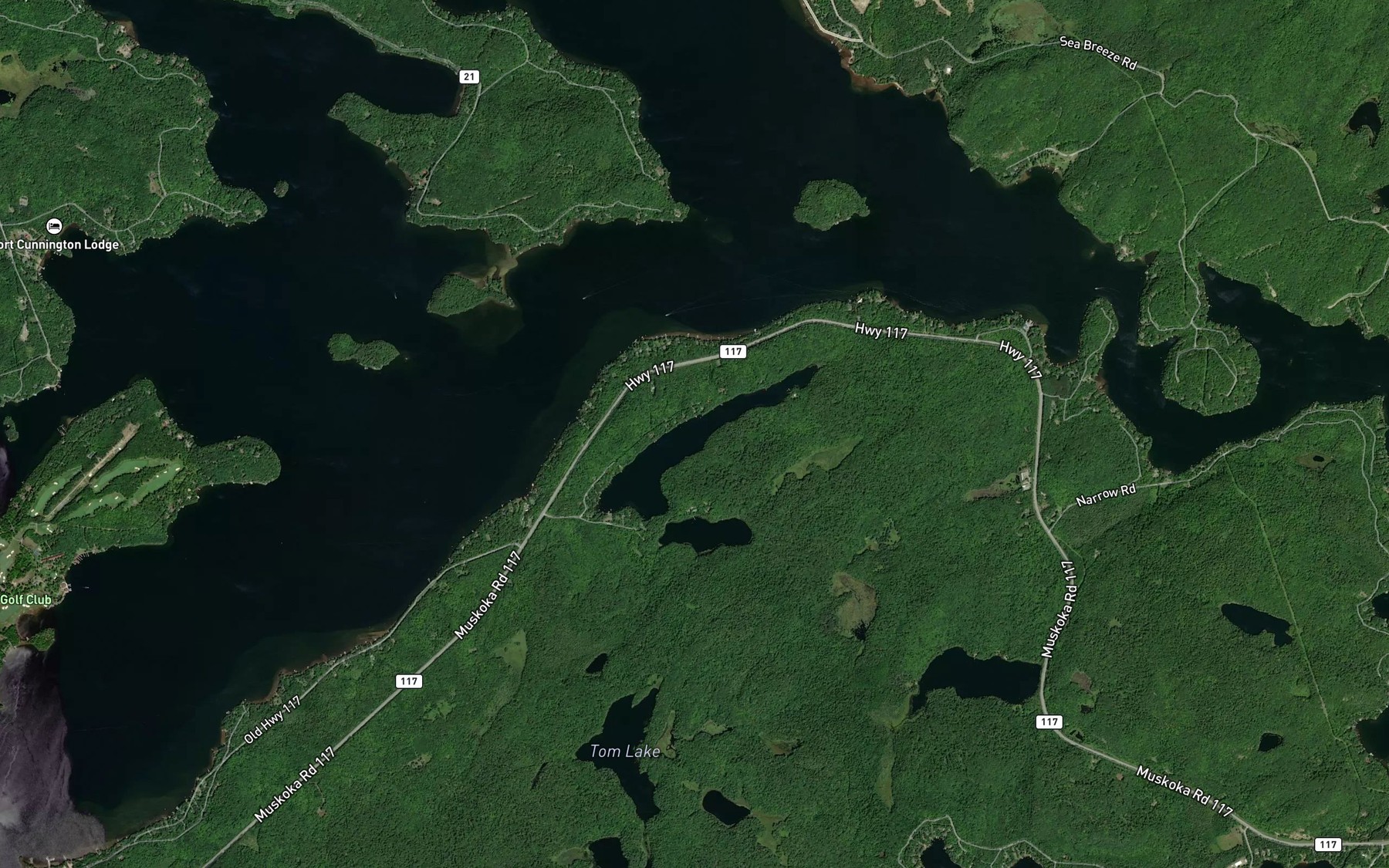 Satellite map of the Longline Lake