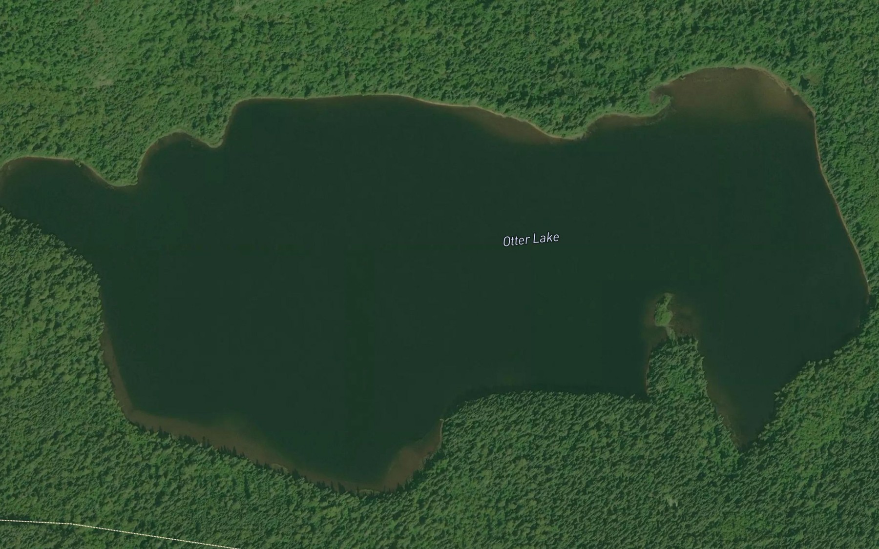 Satellite map of the Otter Lake