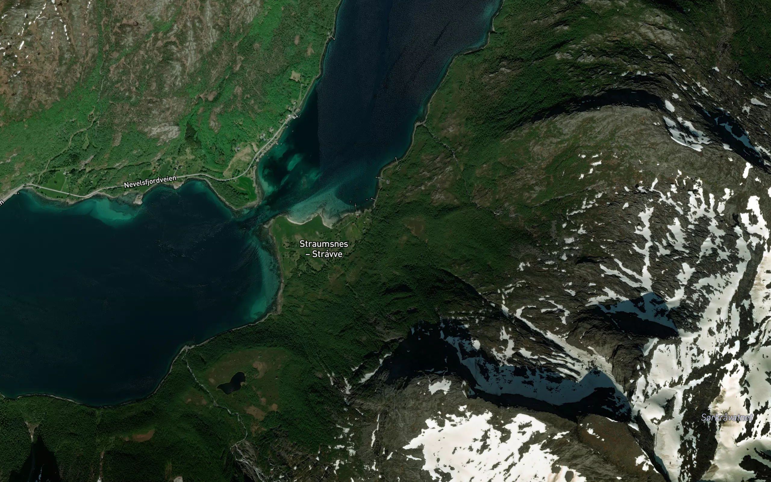 Naustelva