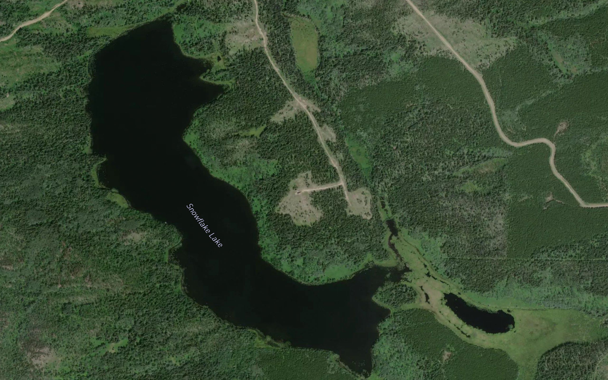 Snowflake Lake