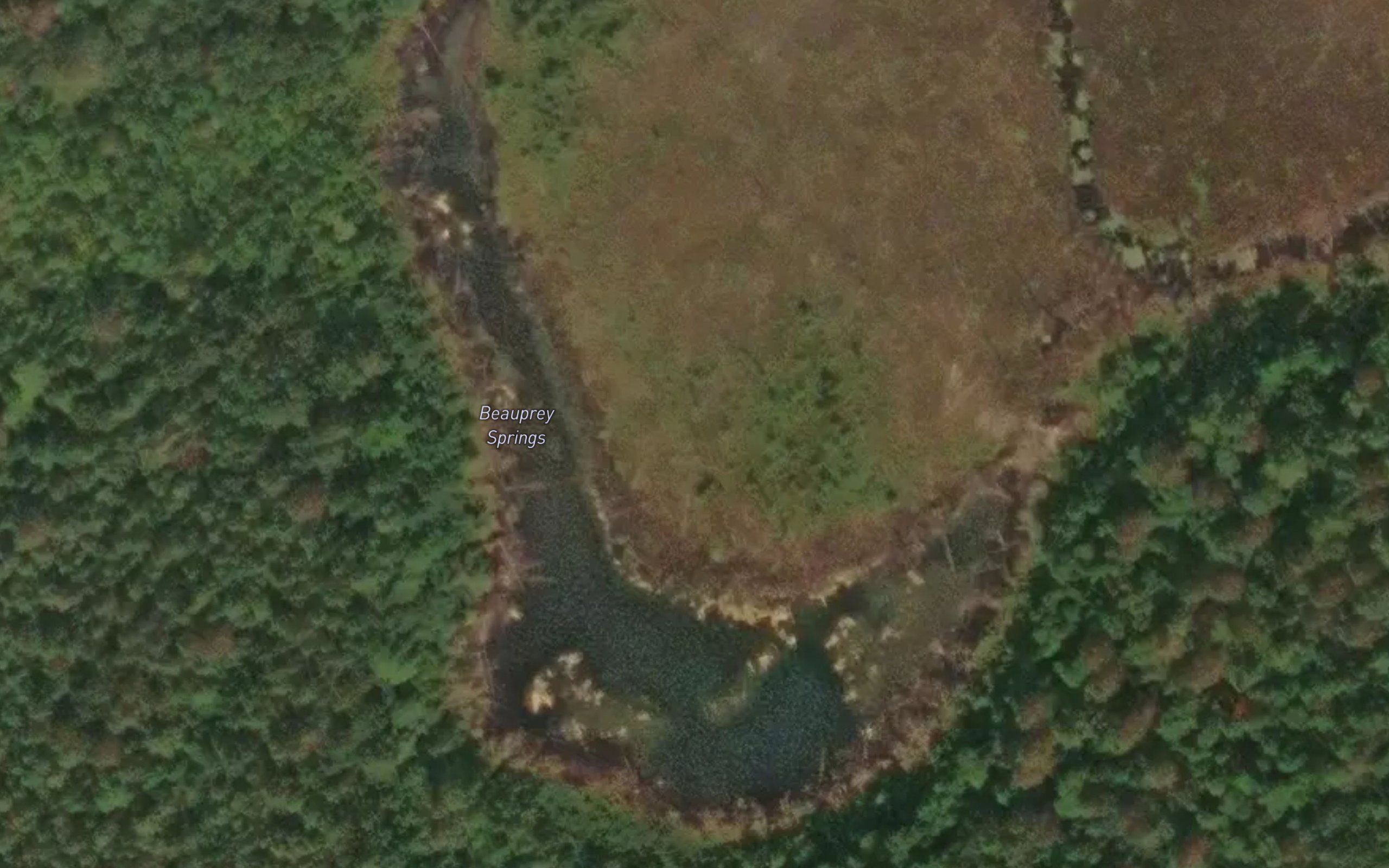 Beauprey Springs
