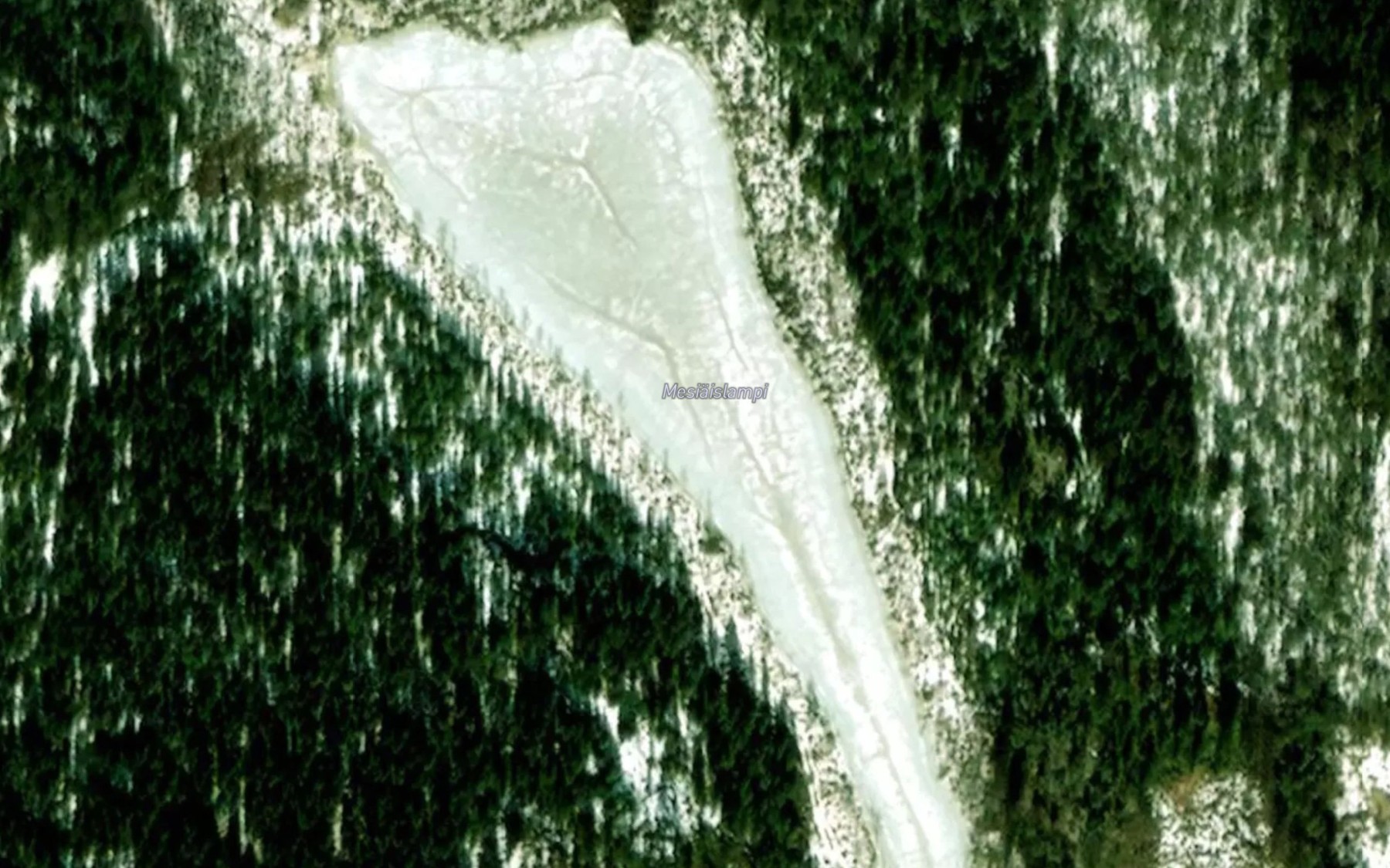 Satellite map of the Mesiaislampi
