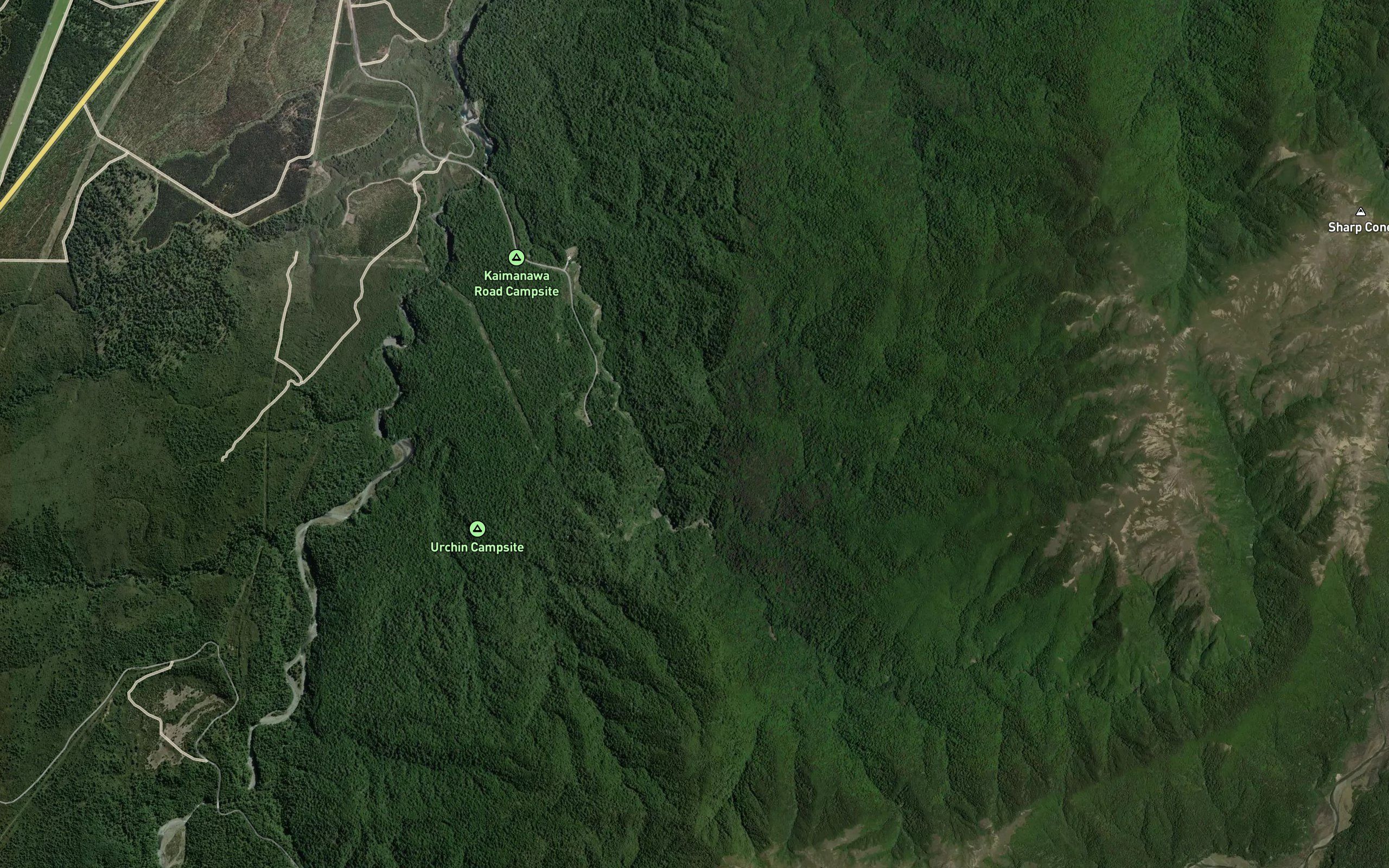 Waikoko Stream