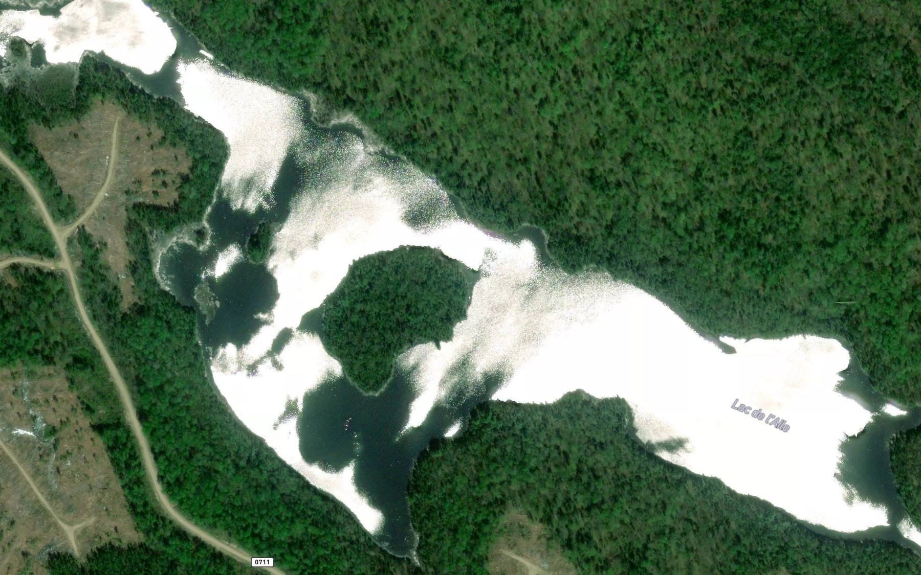 Satellite map of the Lac de l'Aile