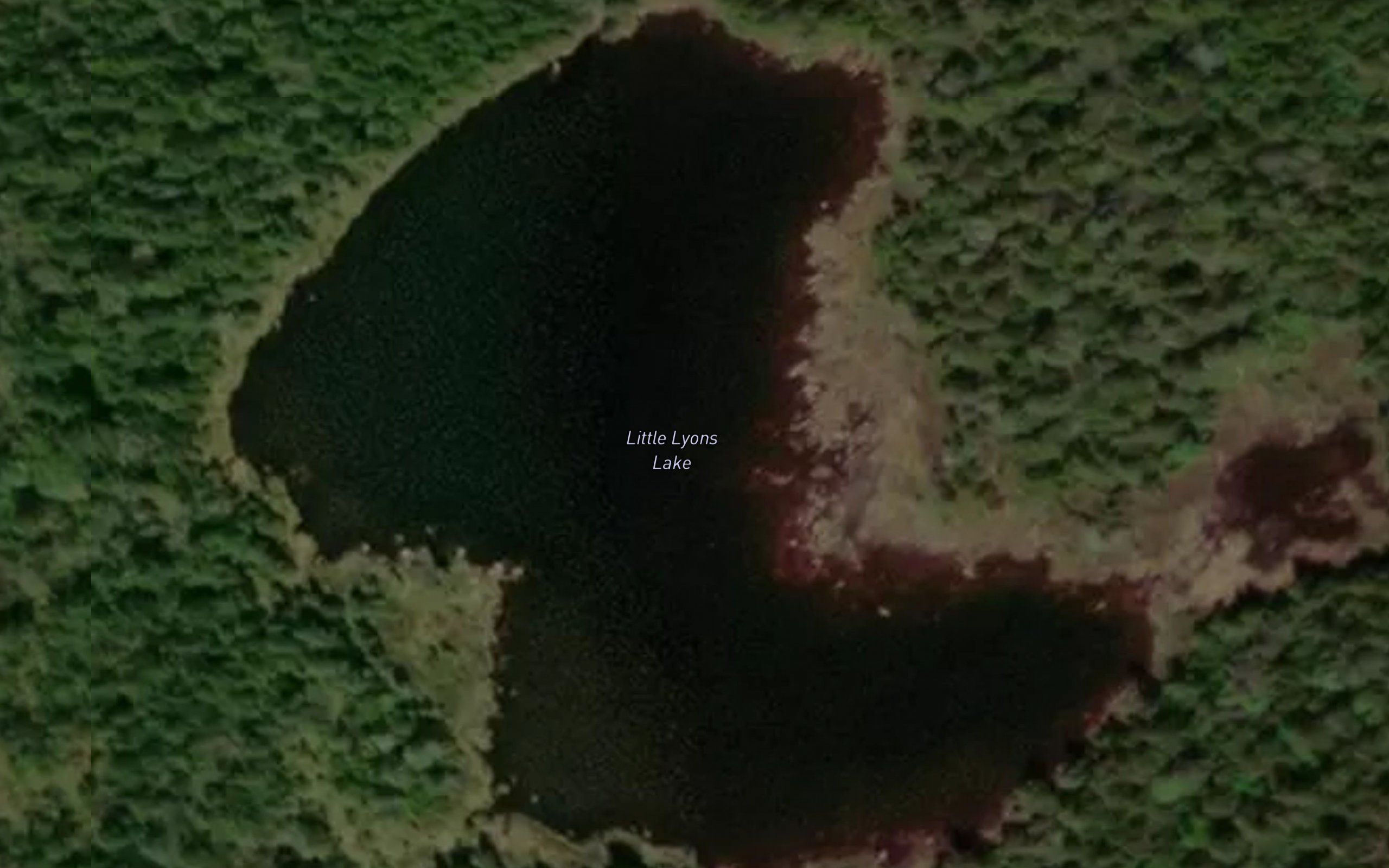 Little Lyons Lake