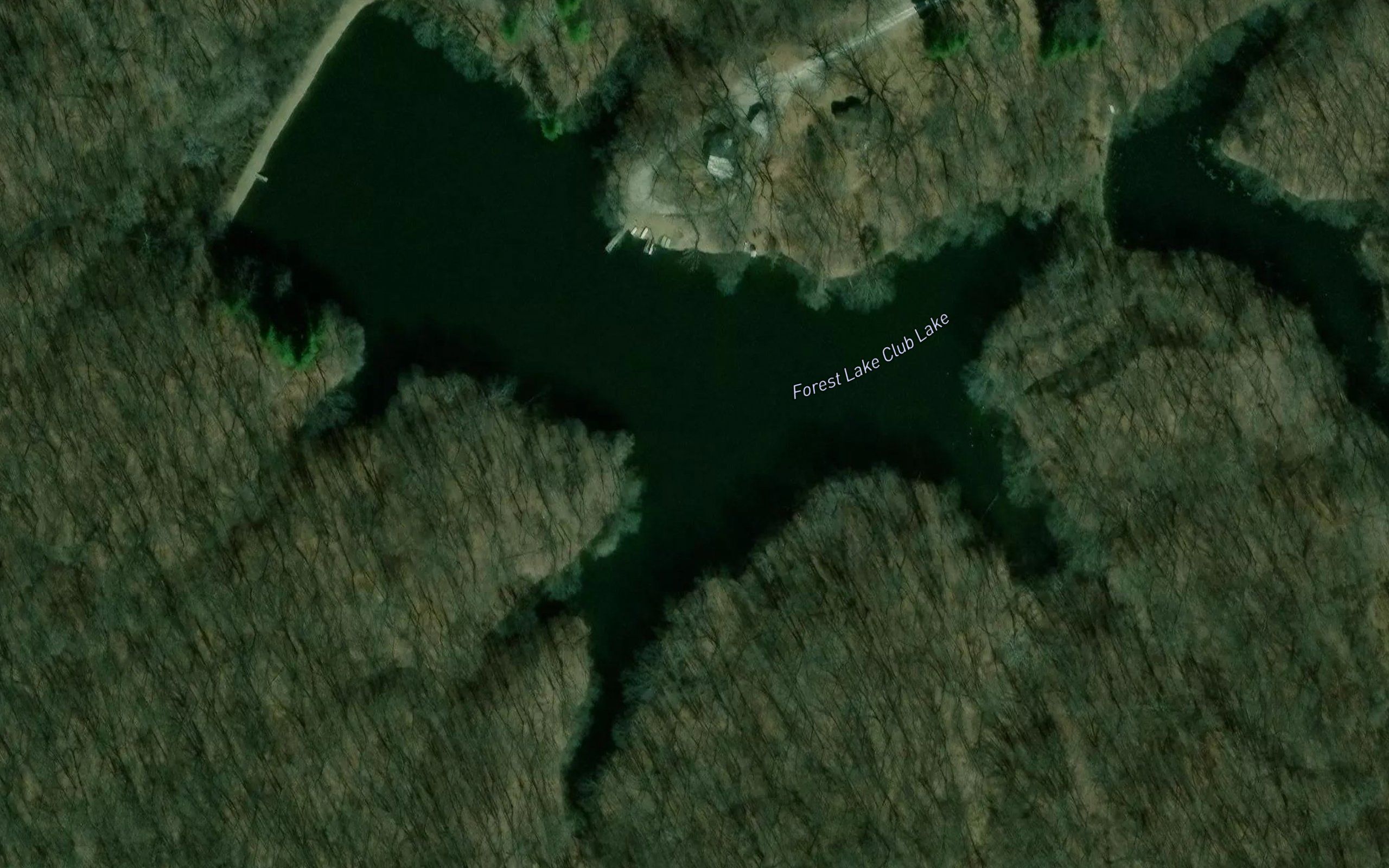 Forest Lake Club Lake