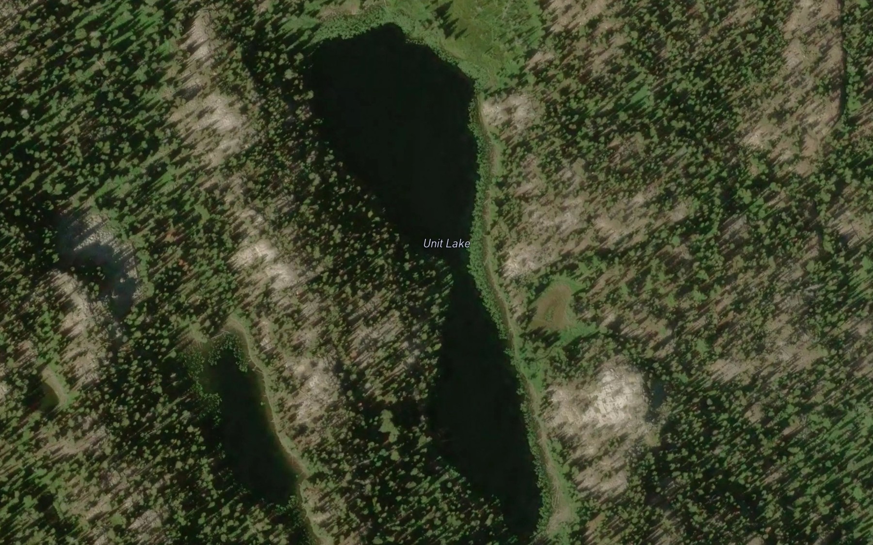 Satellite map of the Unit Lake