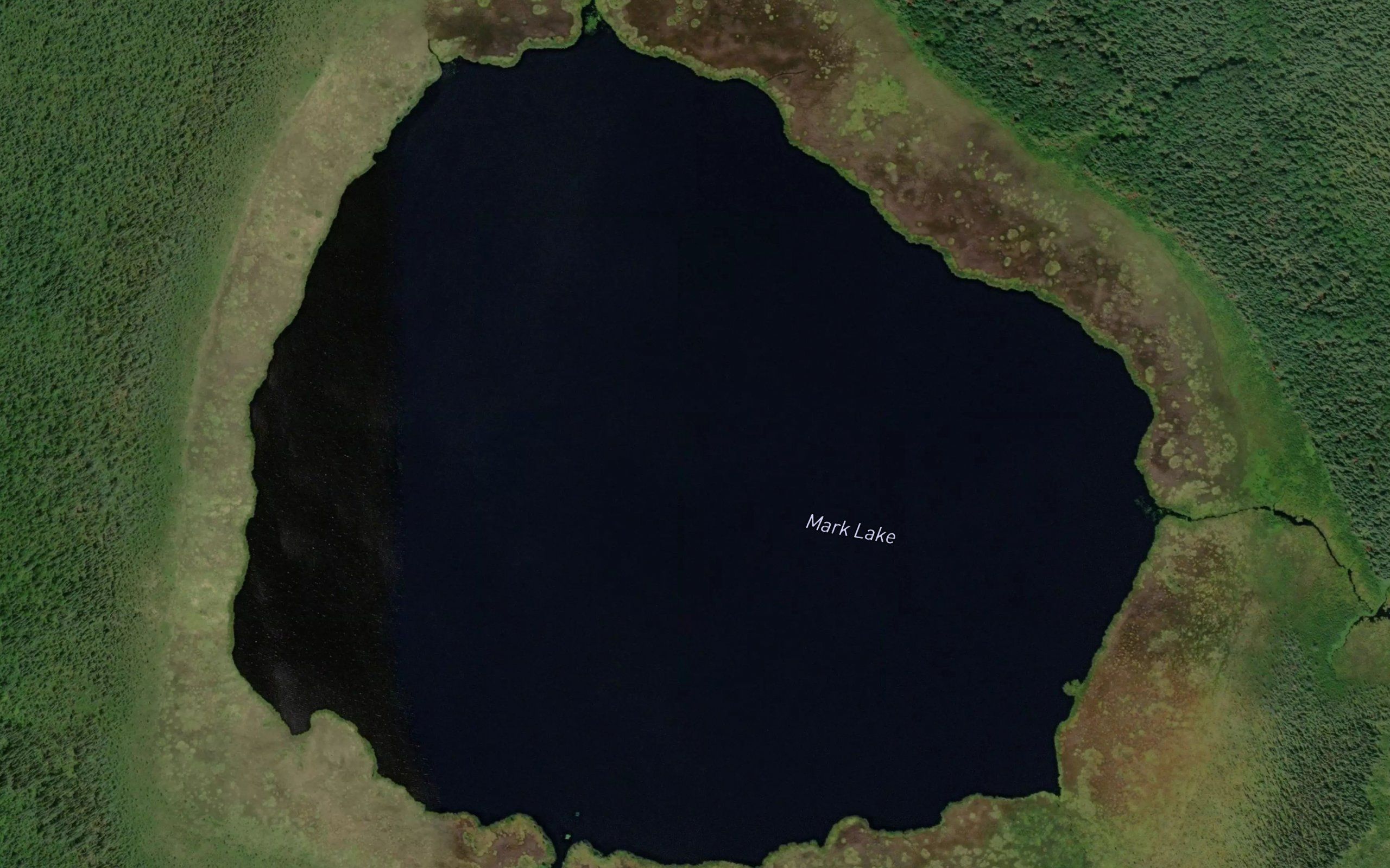 Mark Lake