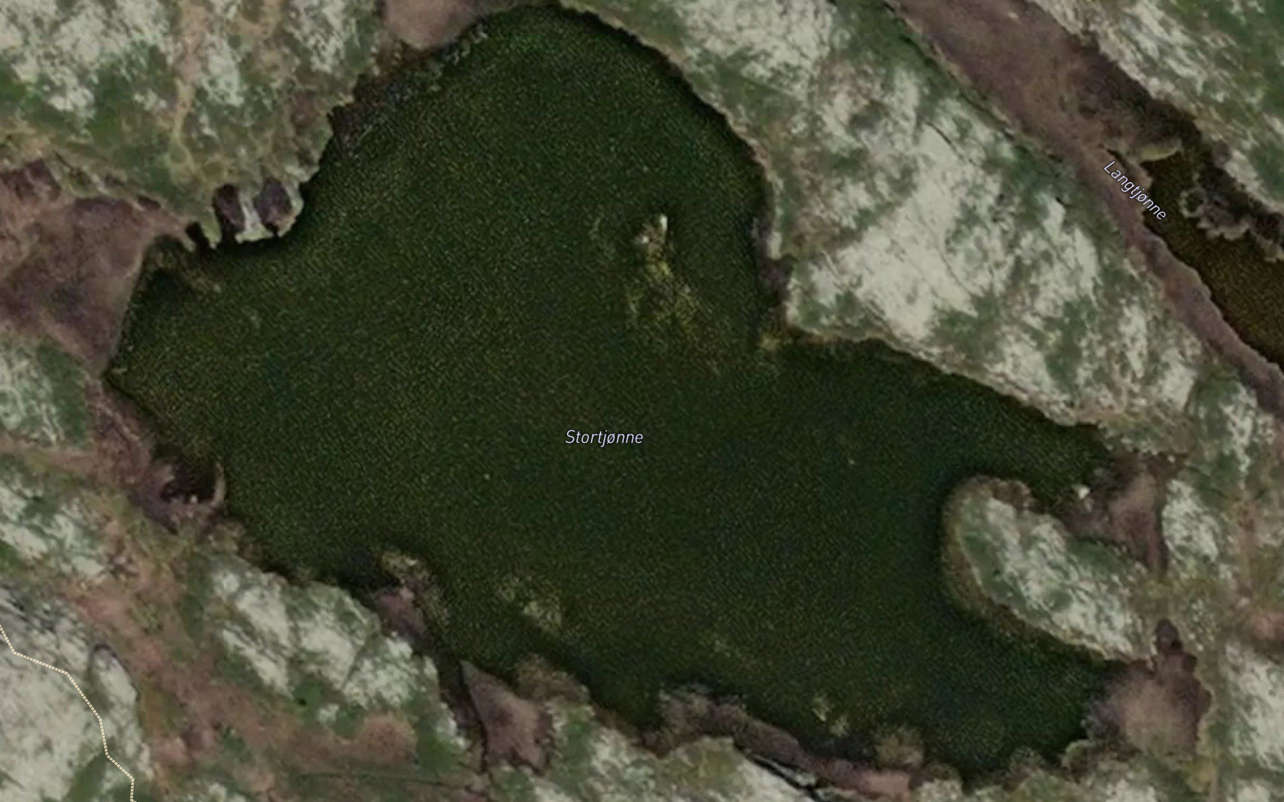 Stortjorni