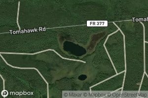 Sphagnum Lake