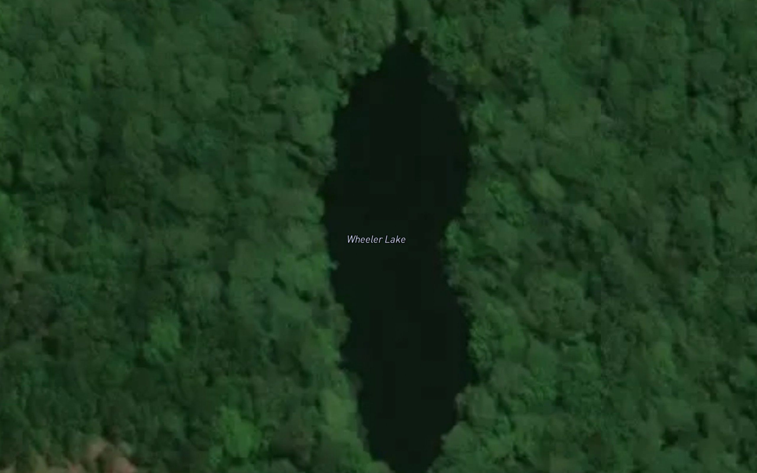 Wheeler Lake
