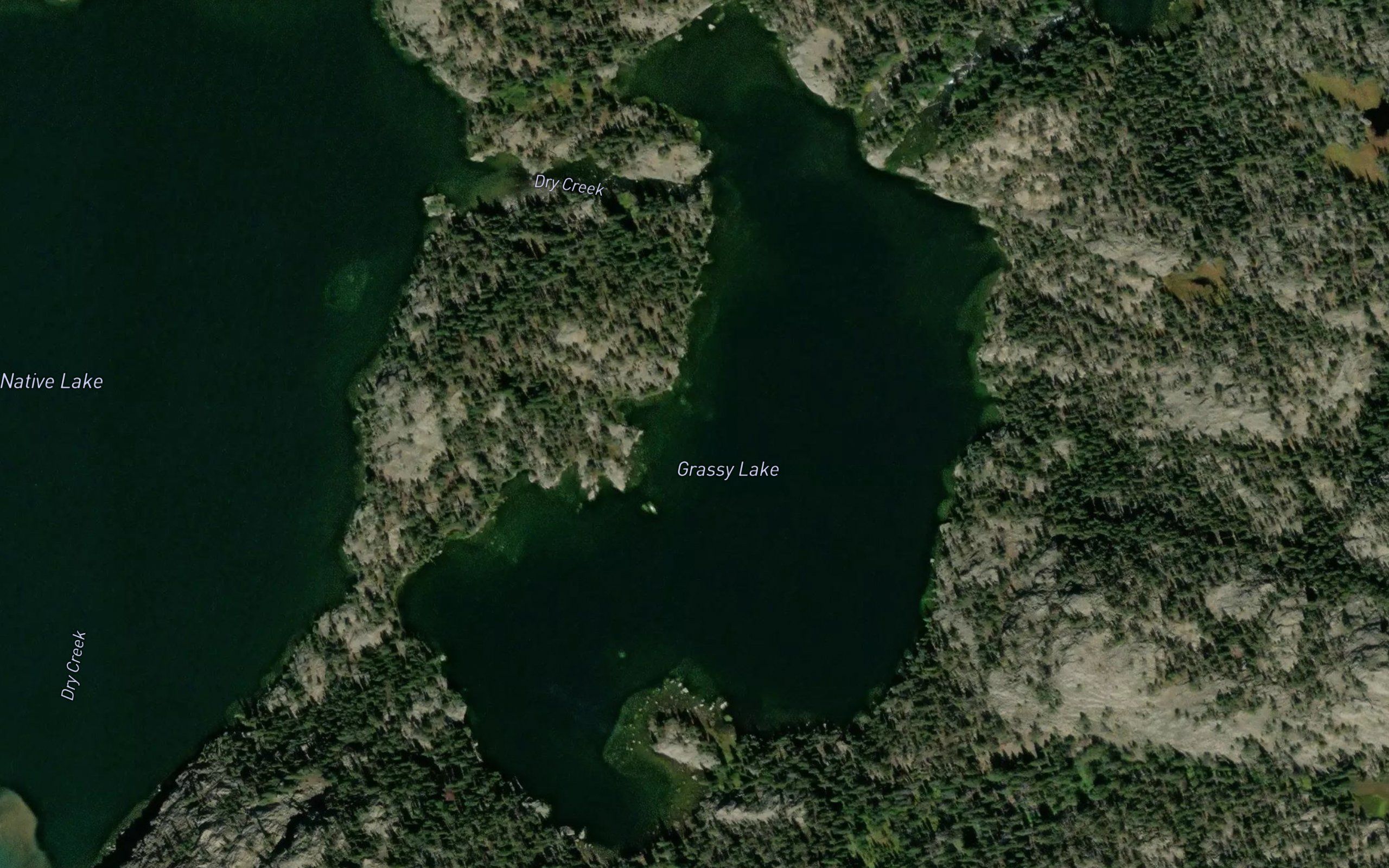 Grassy Lake