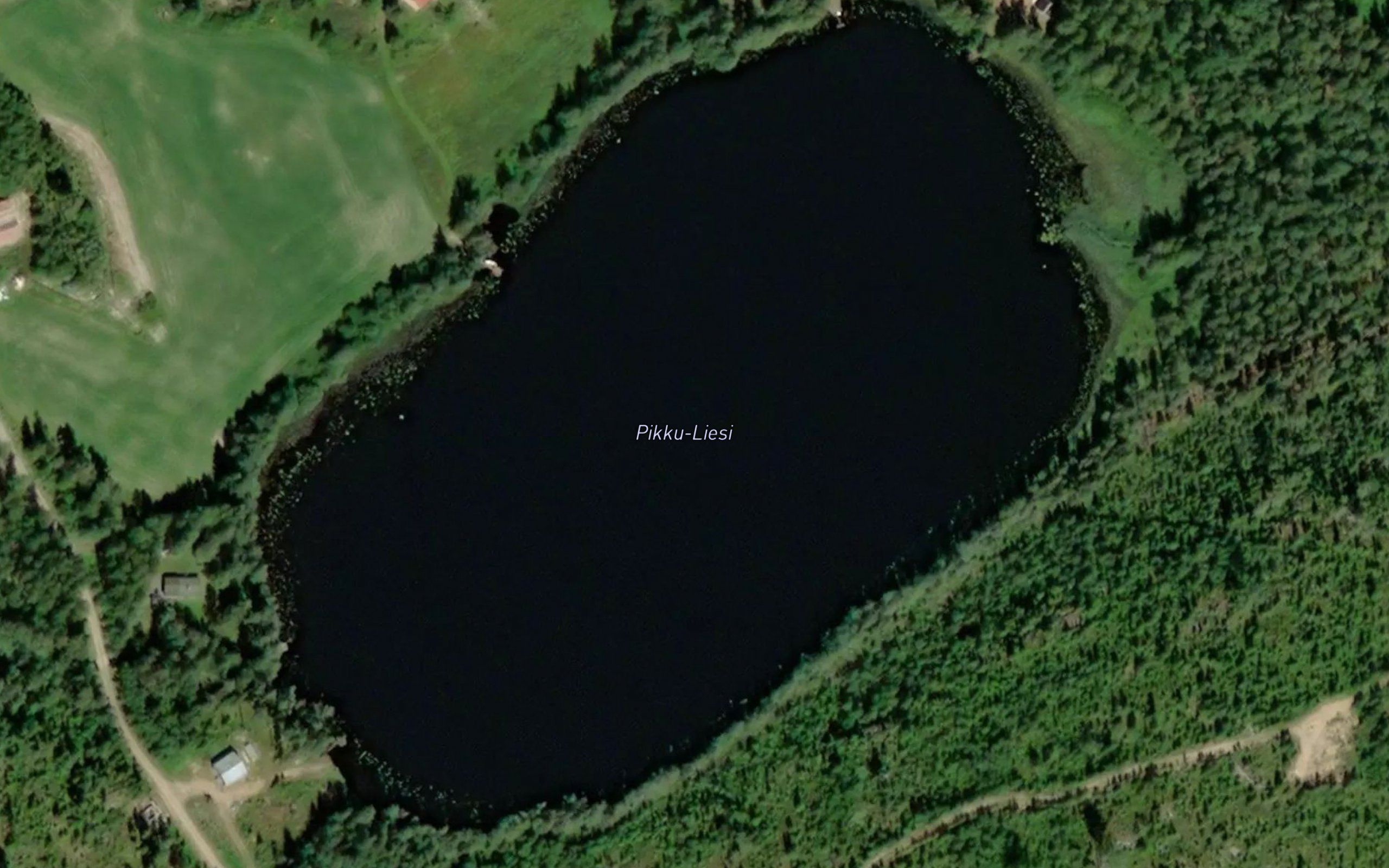Pikku-Liesi