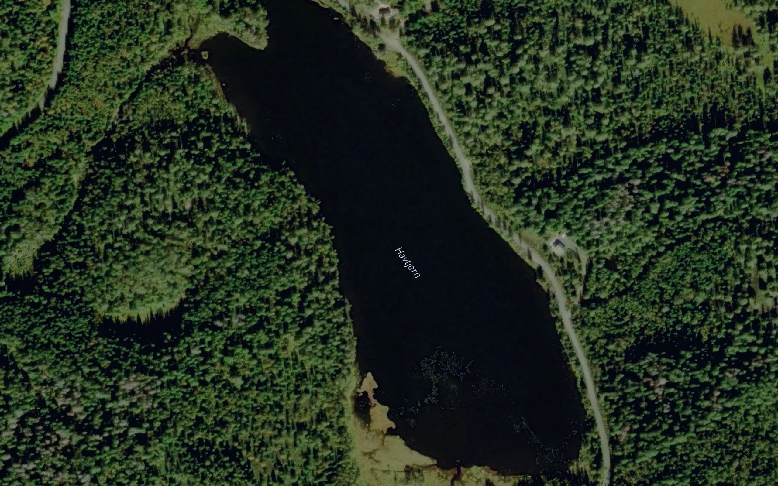 Havtjern