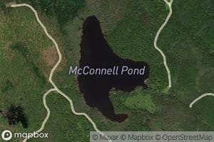 McConnell Pond
