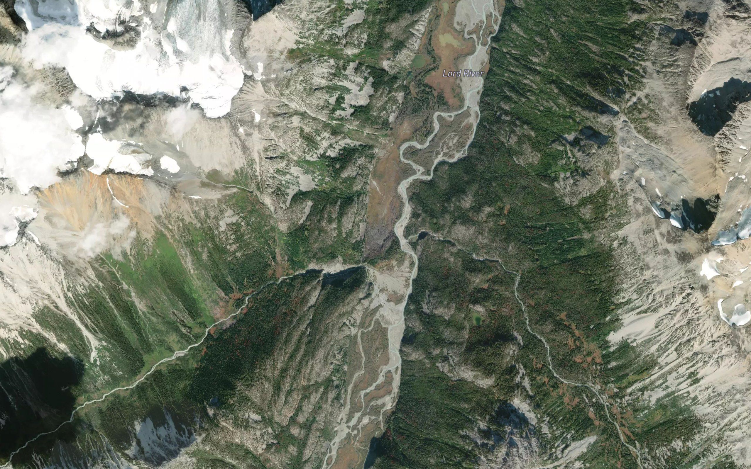 Chapman Creek