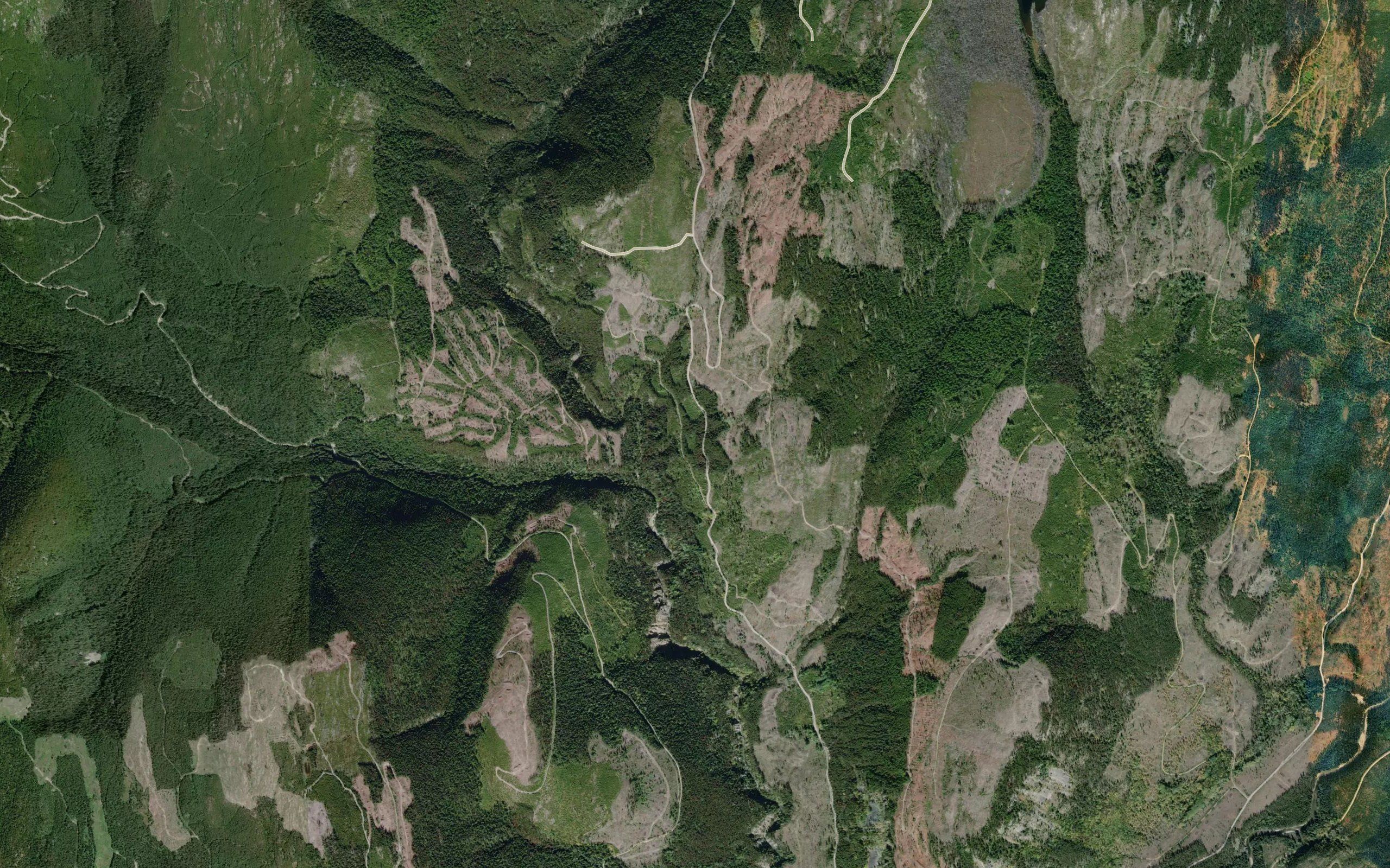 Whitefoot Creek