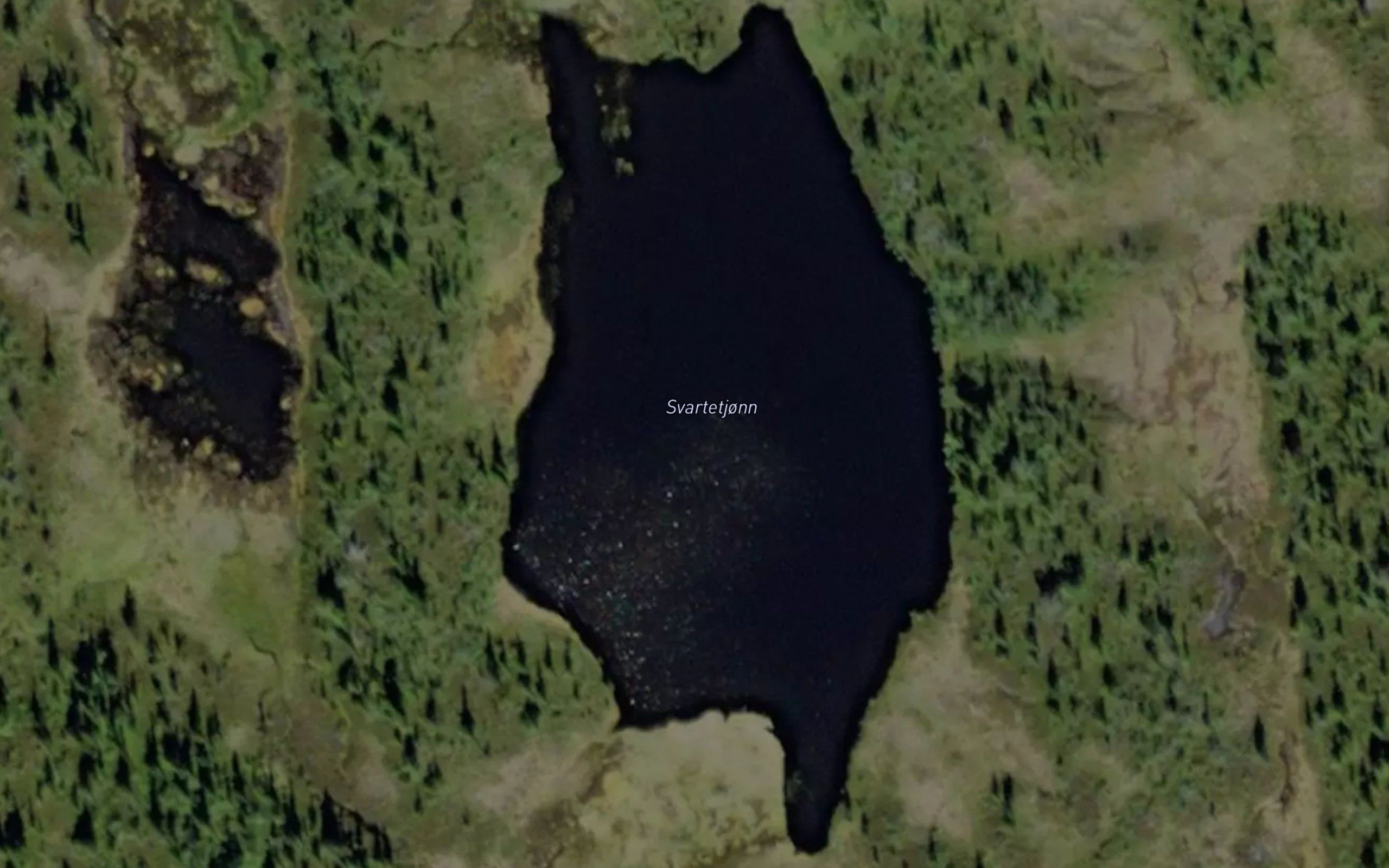Svartetjorn