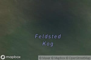 Felsted Kog
