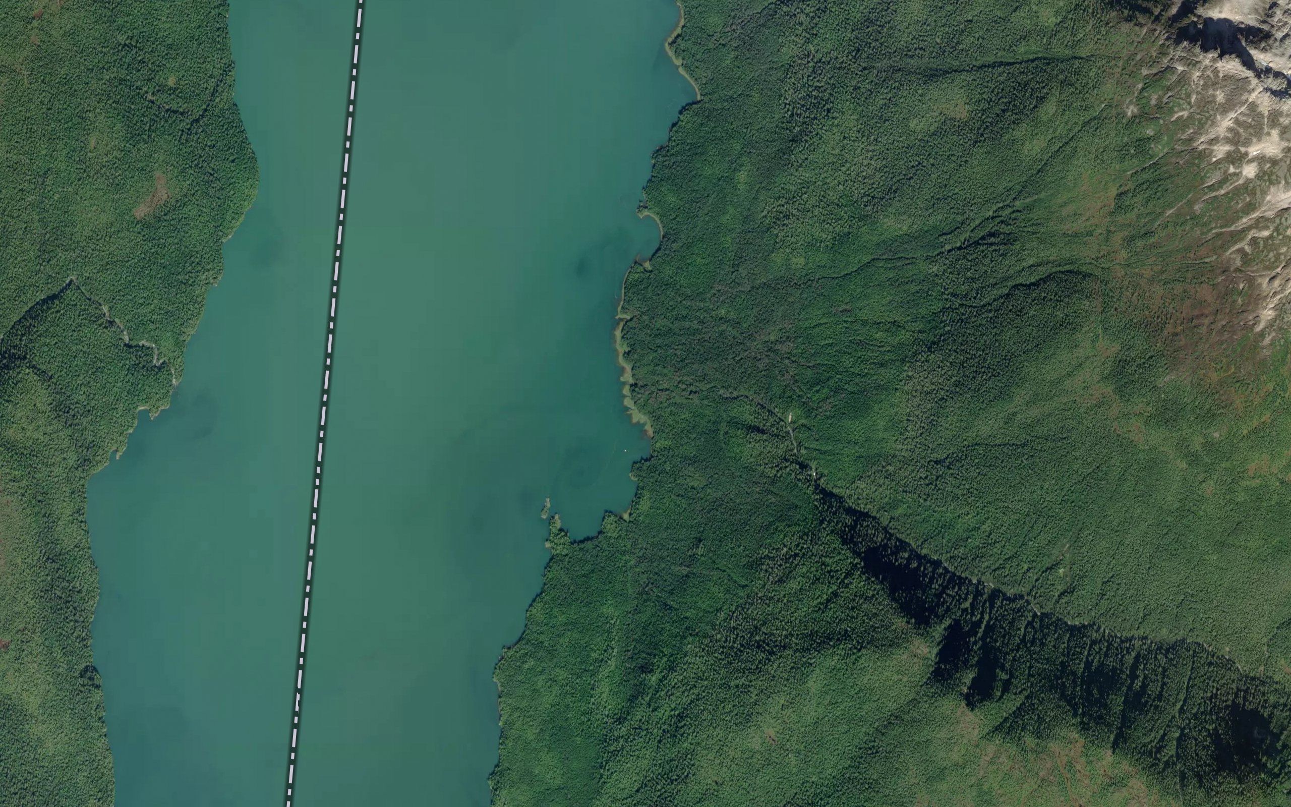 Walt Creek