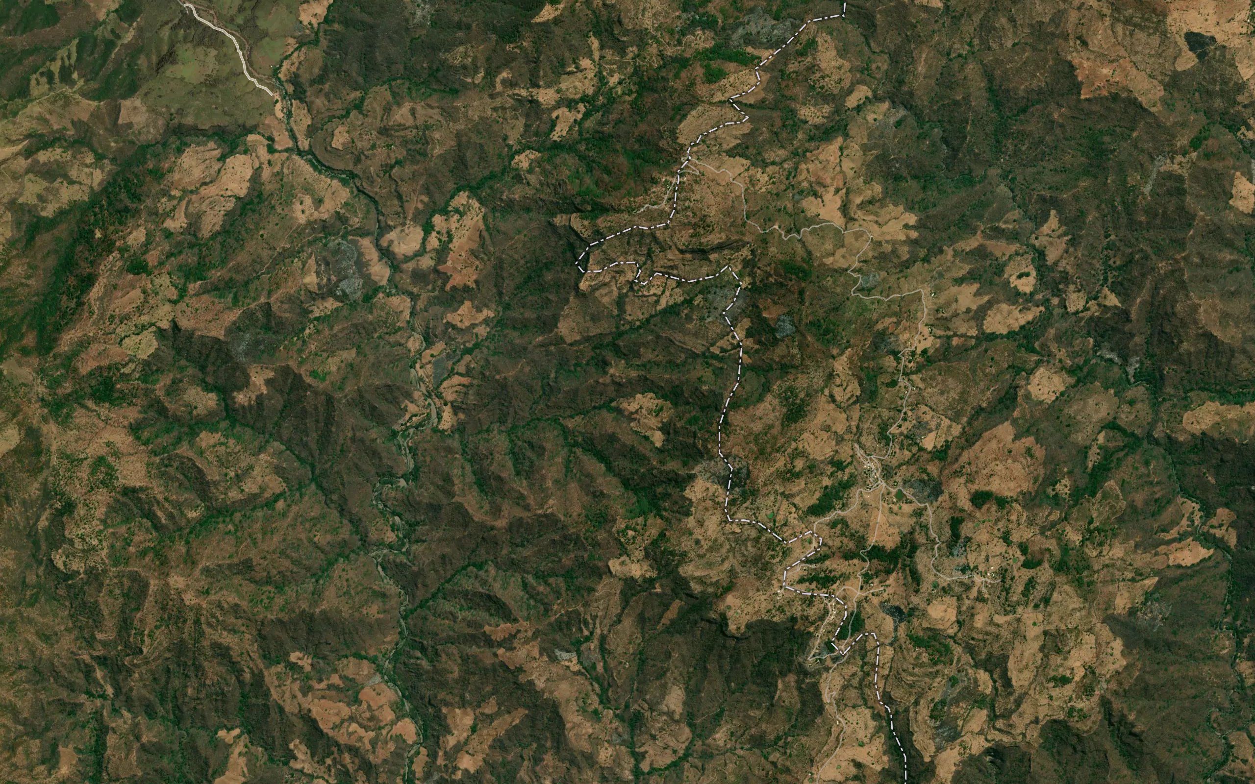 Barranca La Higuerita