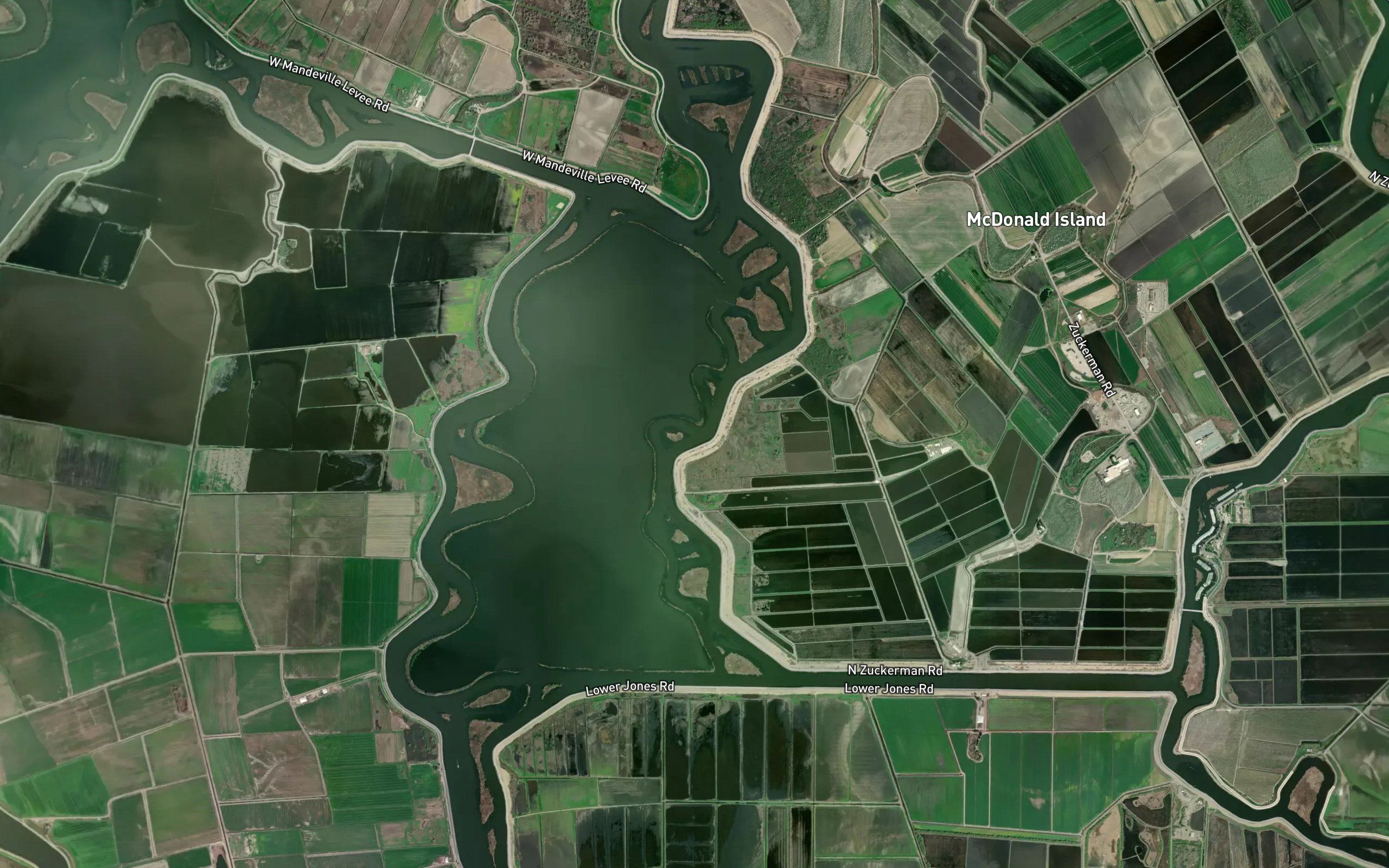 Latham Slough