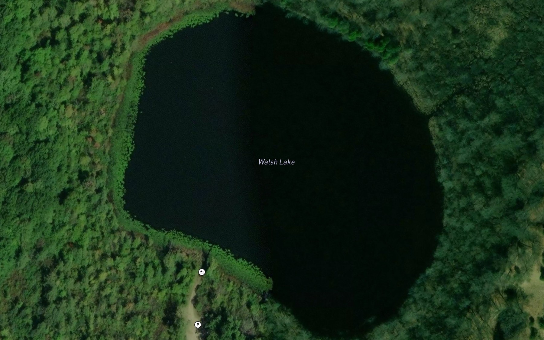 Satellite map of the Walsh Lake