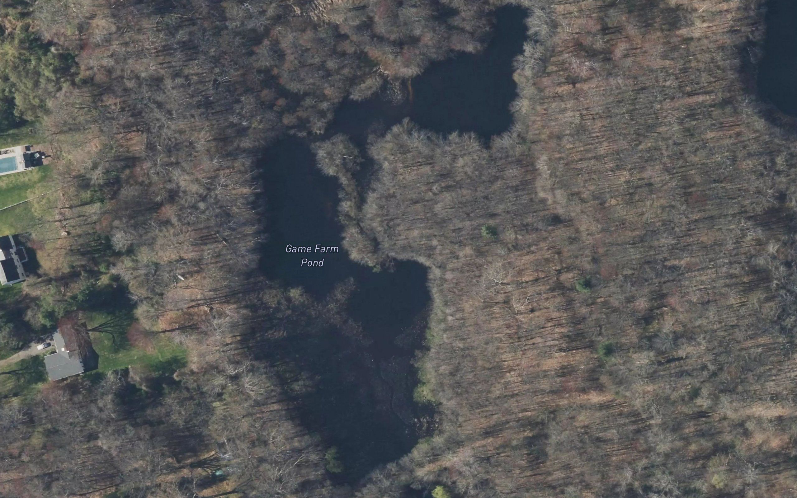 Game Farm Pond