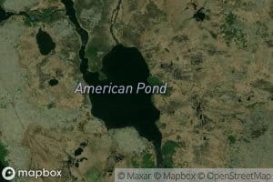 American Pond