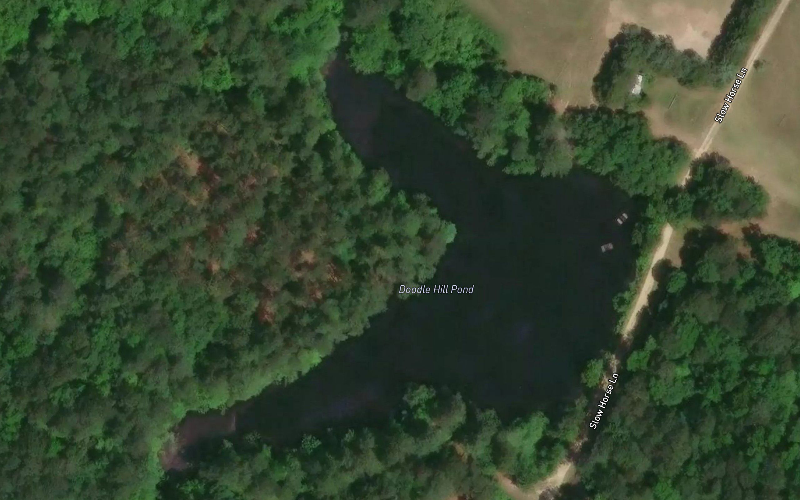 Doodle Hill Pond