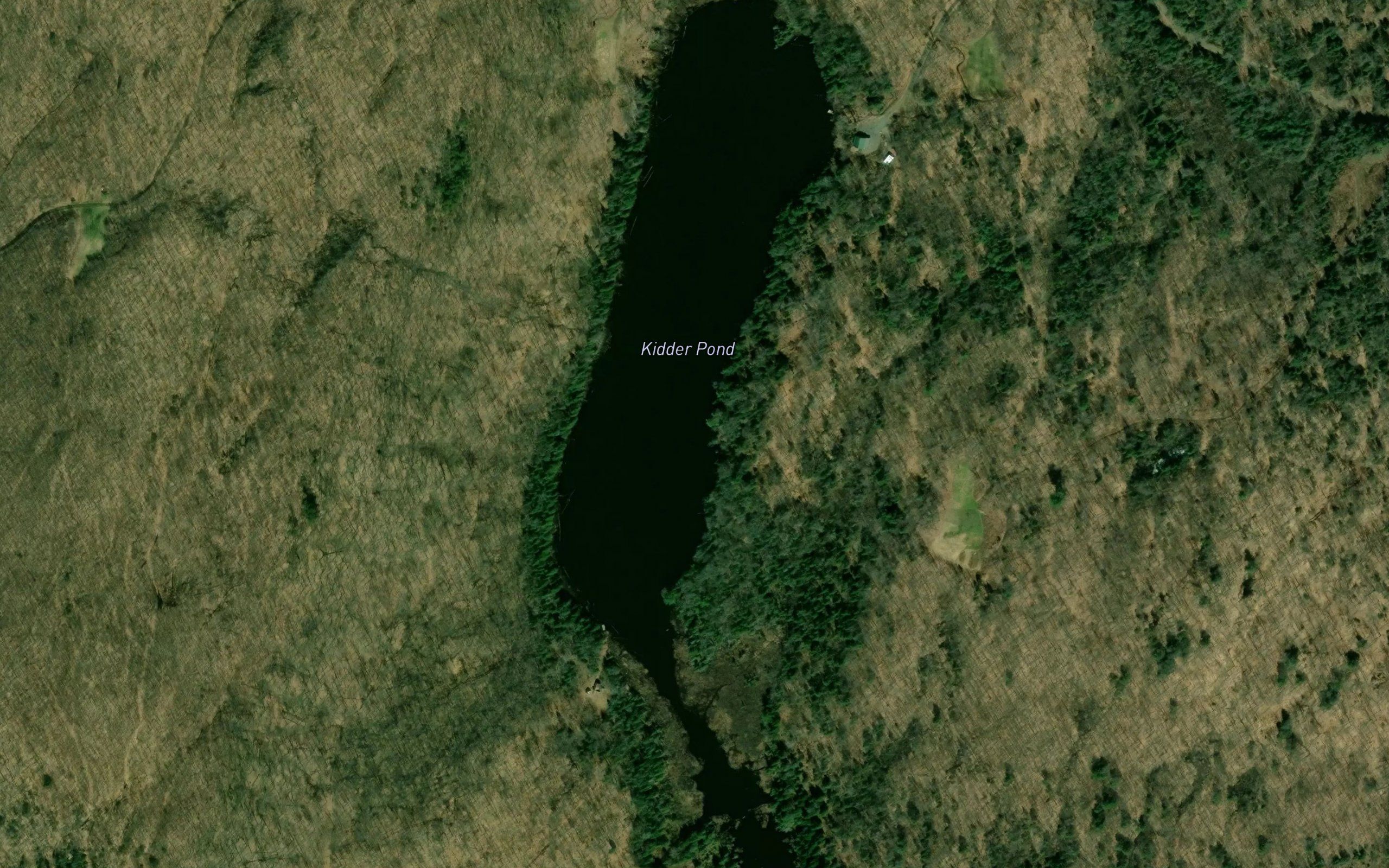 Kidder Pond