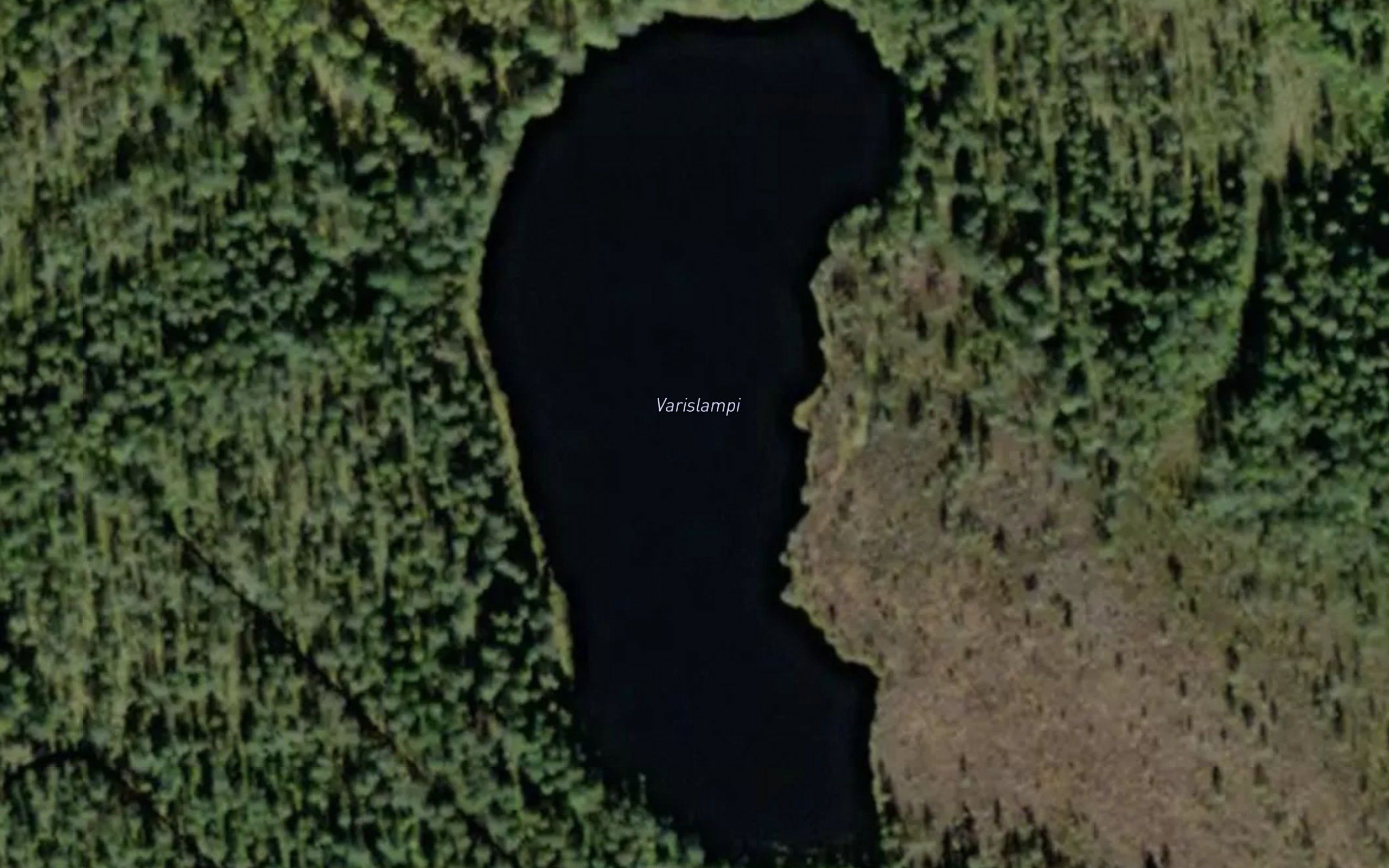 Varislampi