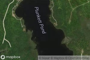 Plunkett Pond