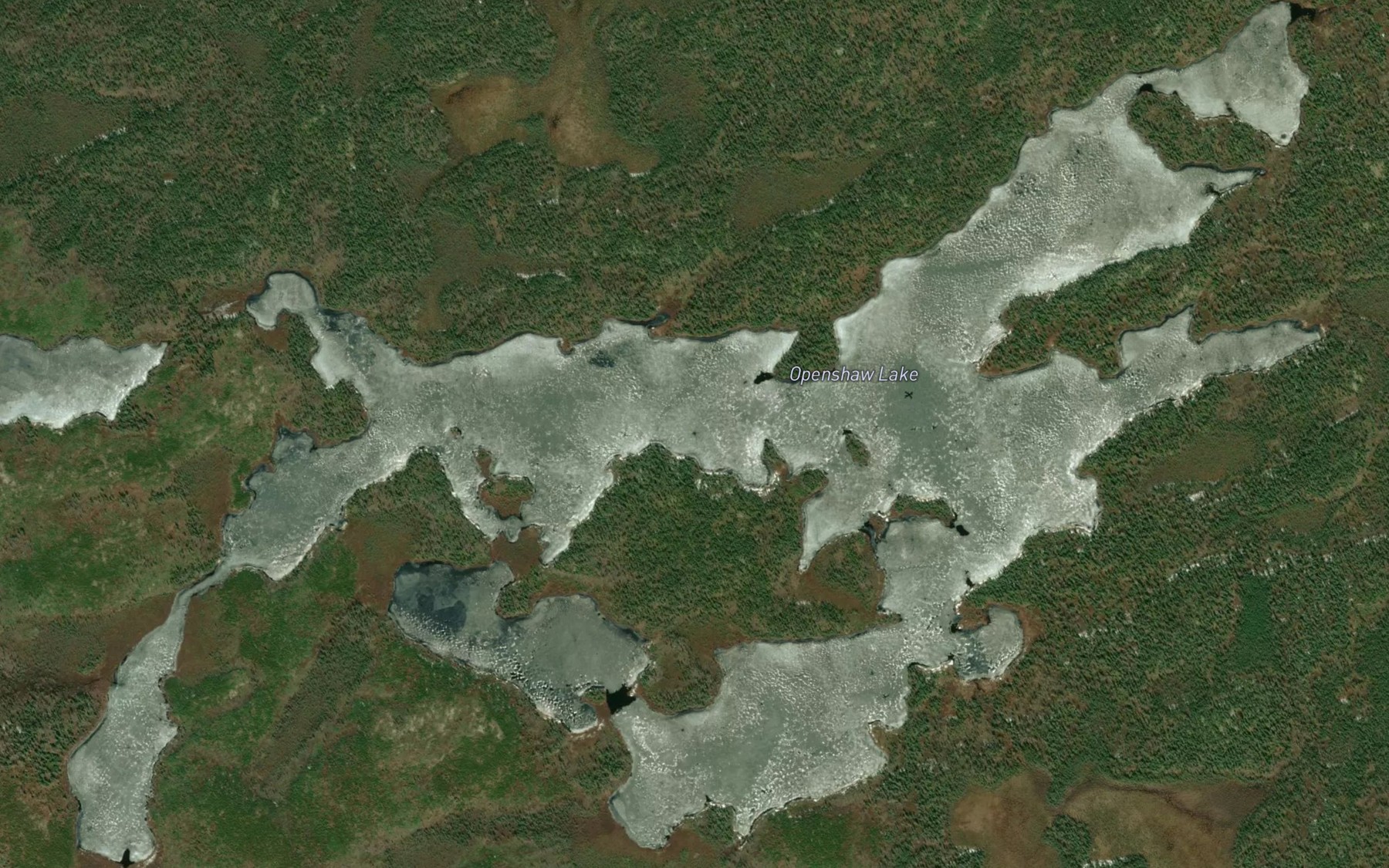 Satellite map of the Openshaw Lake