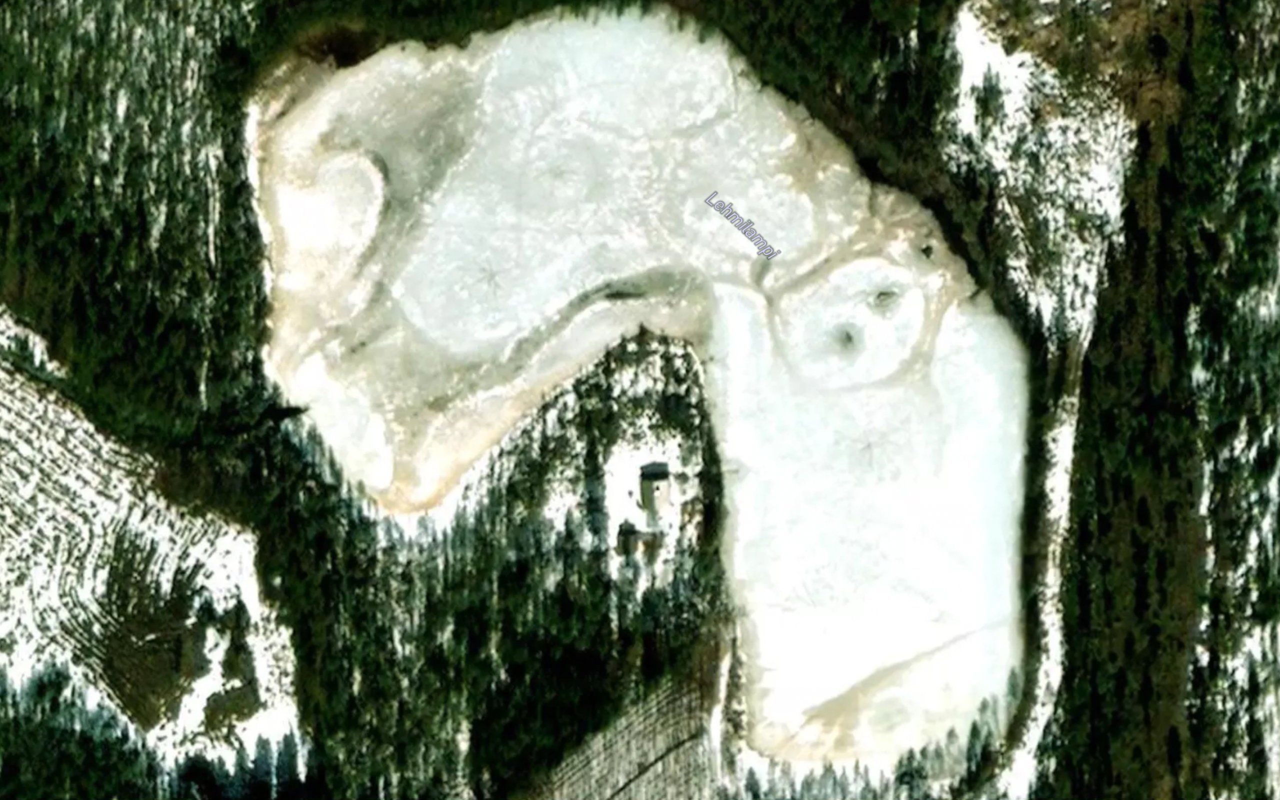 Lehmilampi