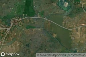 Distributary Number Five