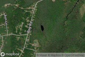 Satellite map of the Pug Pond