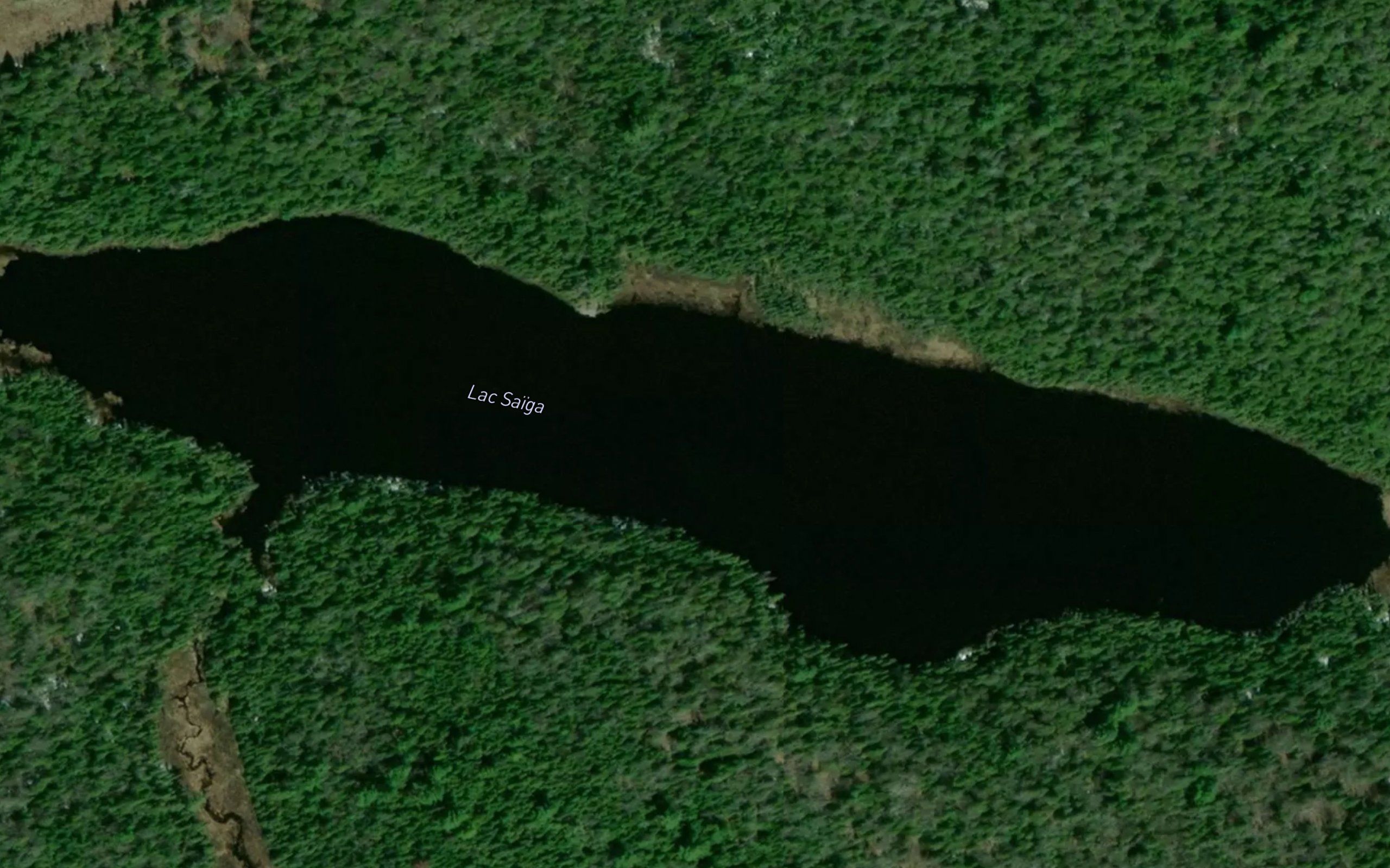 Lac Saiga
