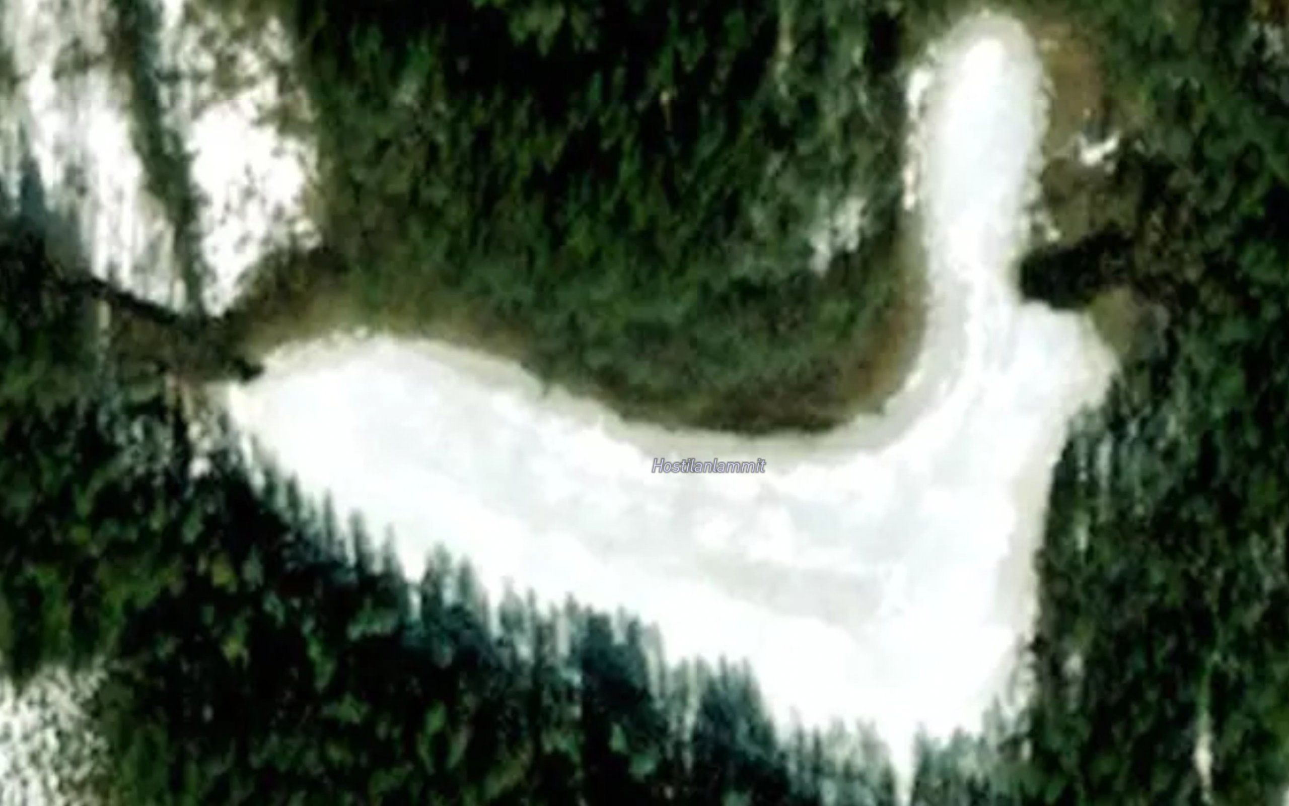 Hostilanlammit