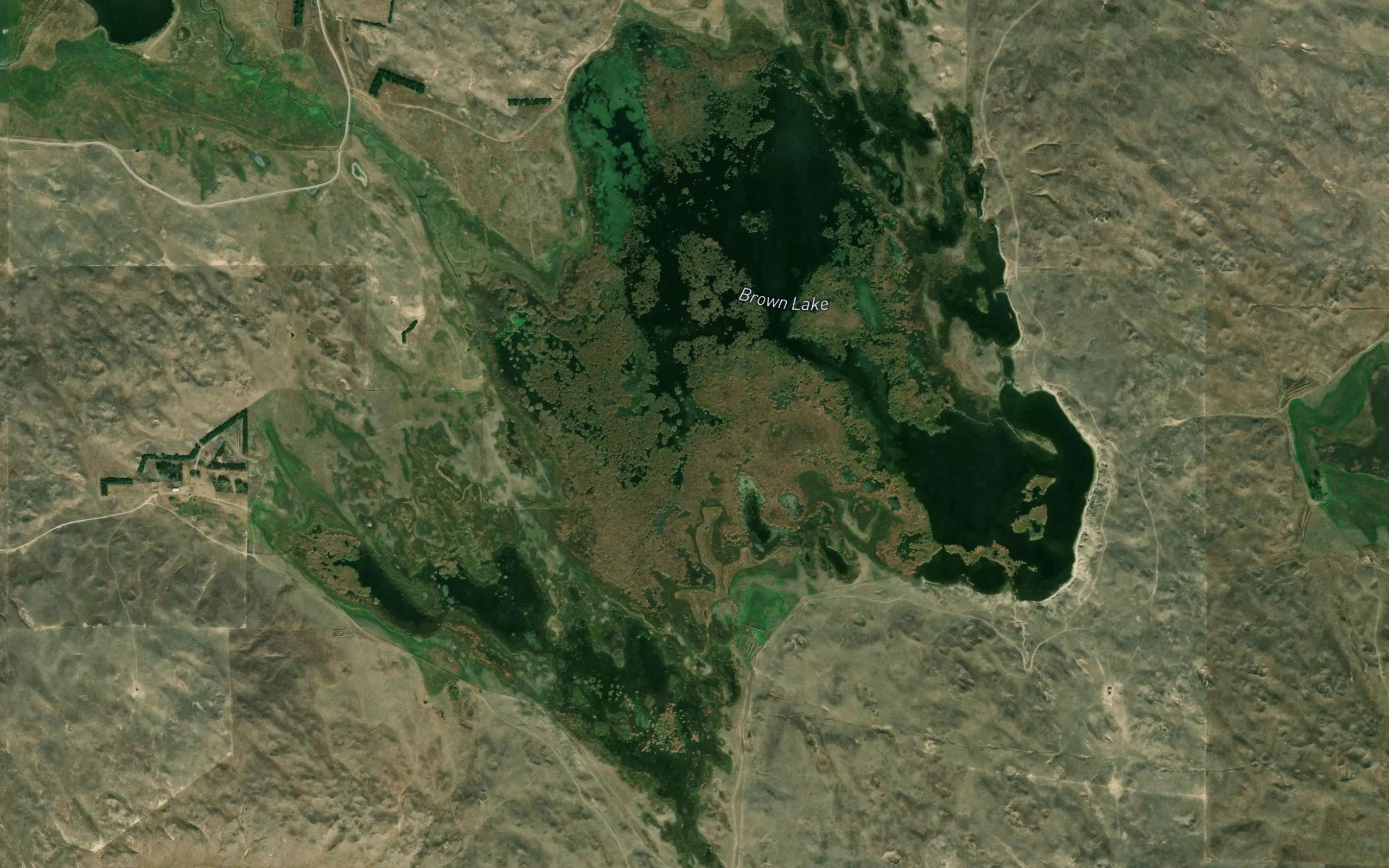Brown Lake
