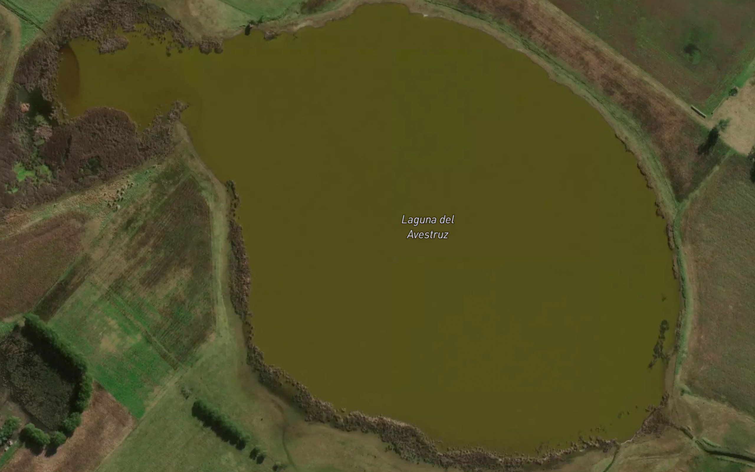 Laguna del Avestruz