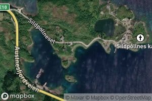 Urvika