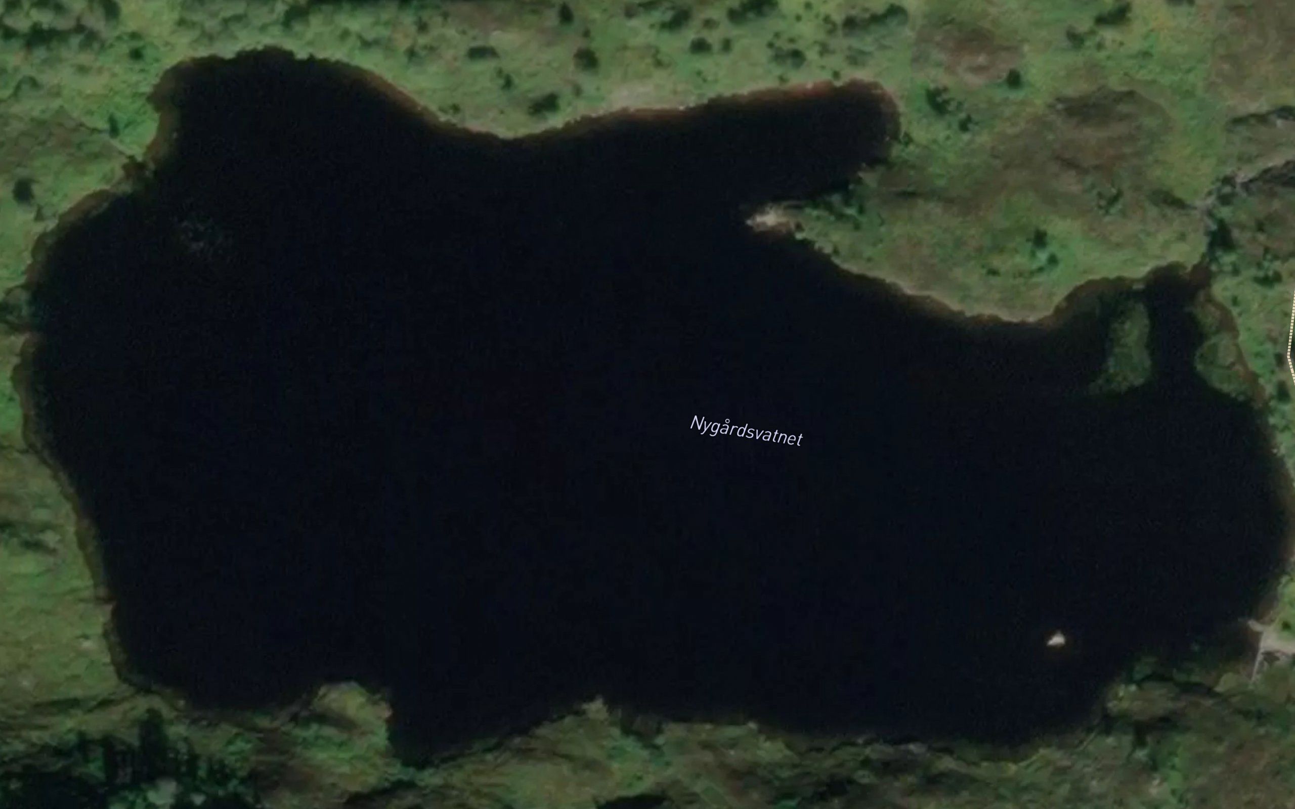 Nygardsvatnet